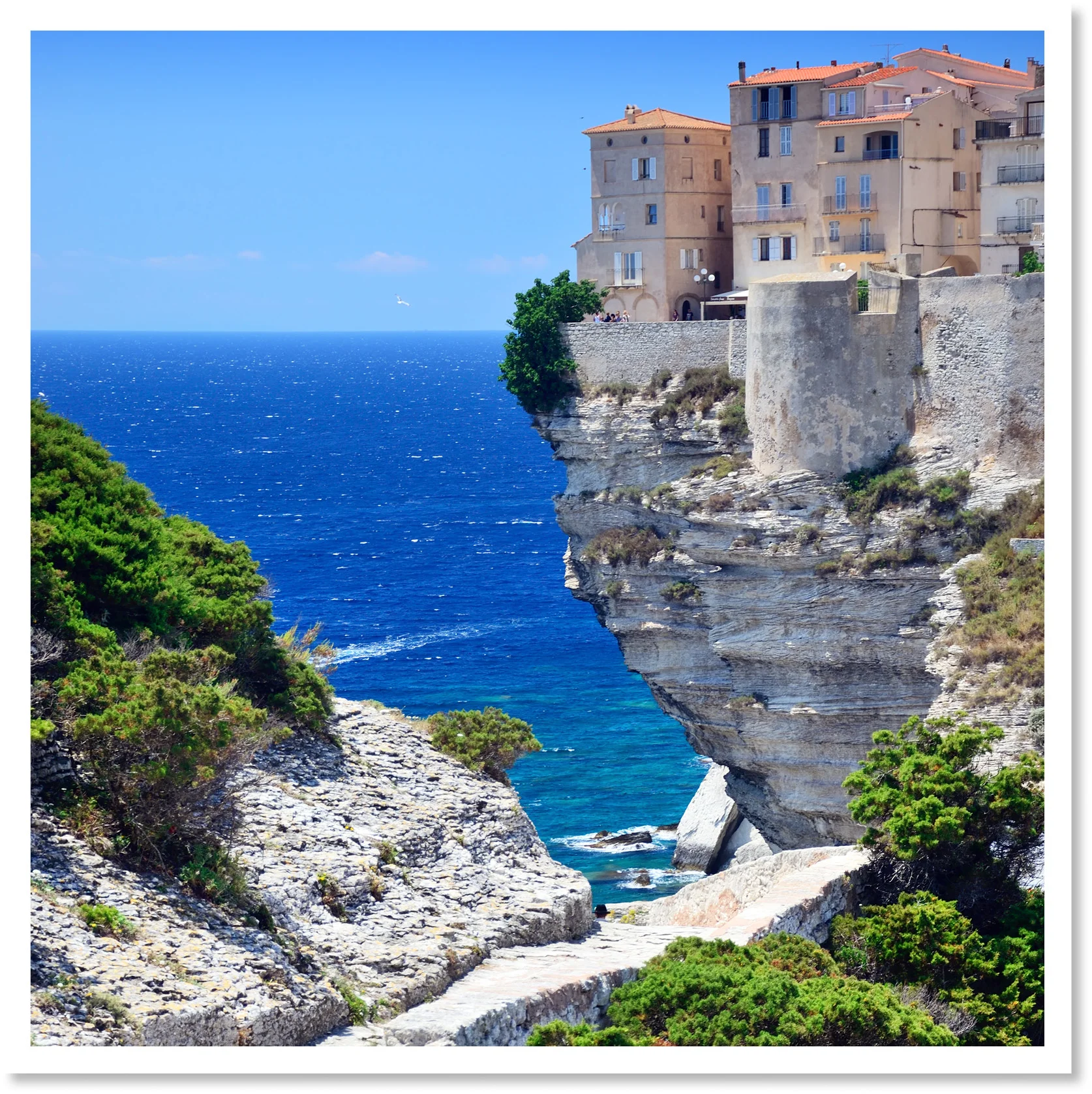 Corsica and Sardinia.jpg
