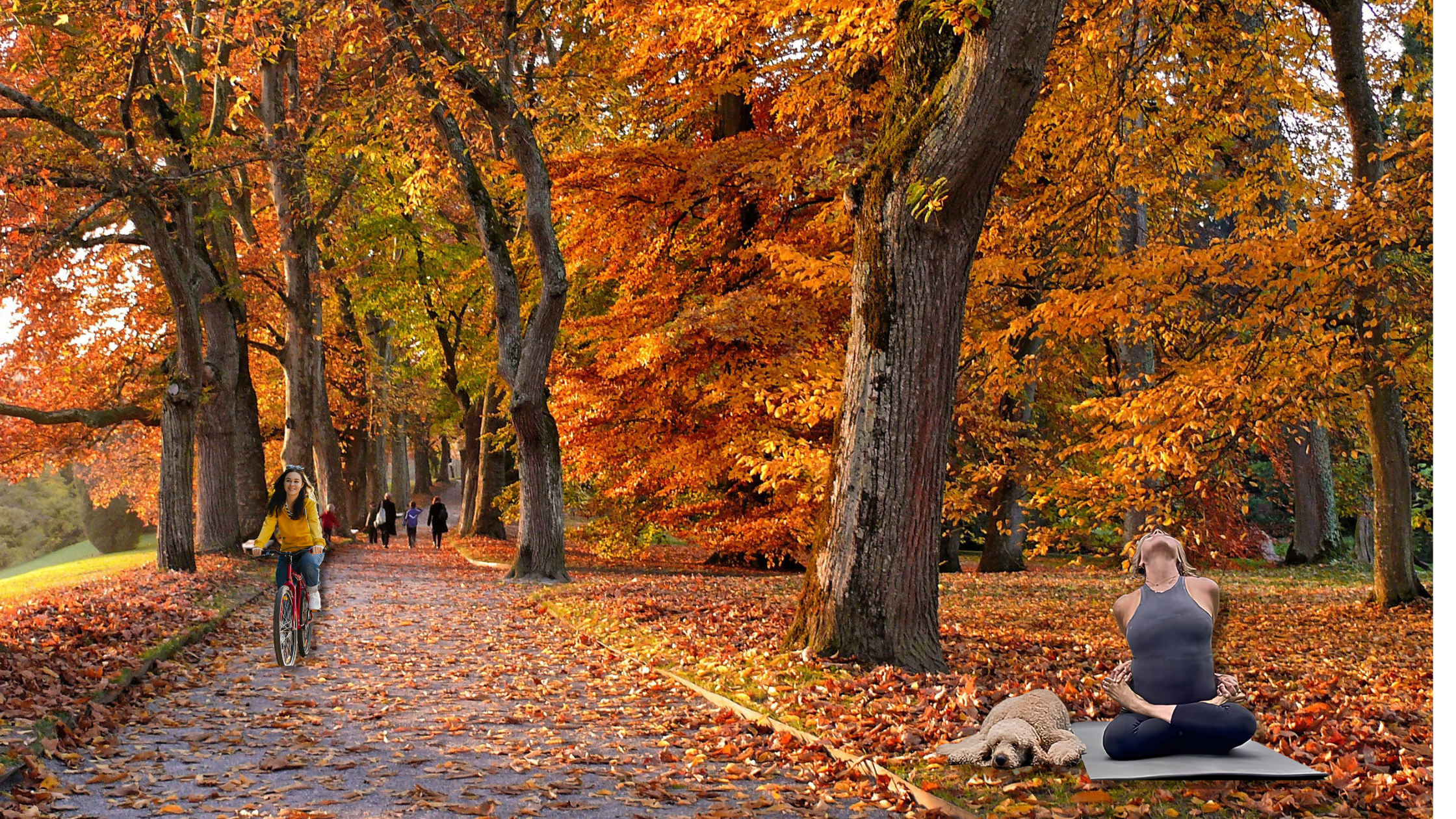 Lisa Bondy doing yoga during fall season