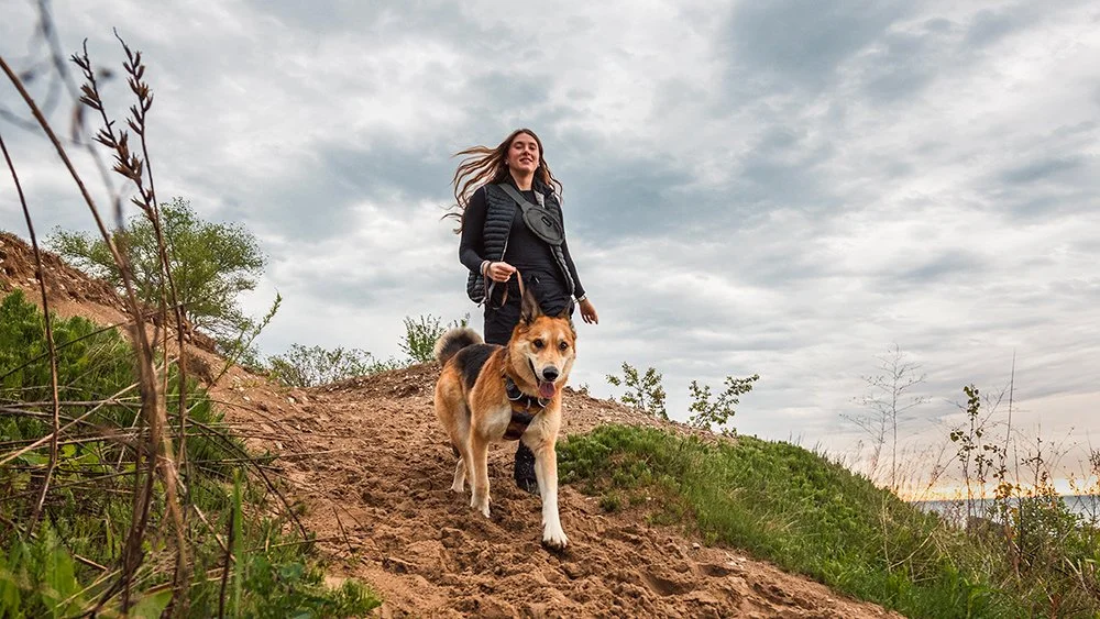 lifestyle-environmental-dog-photography.jpg