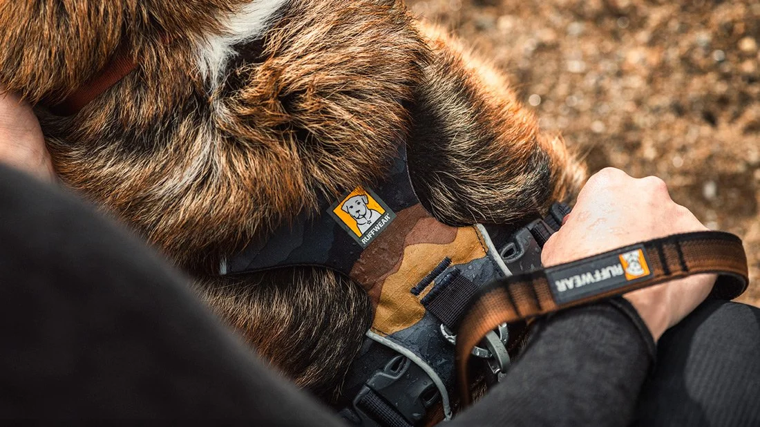 Ruffwear-harness-dog-gear.jpg