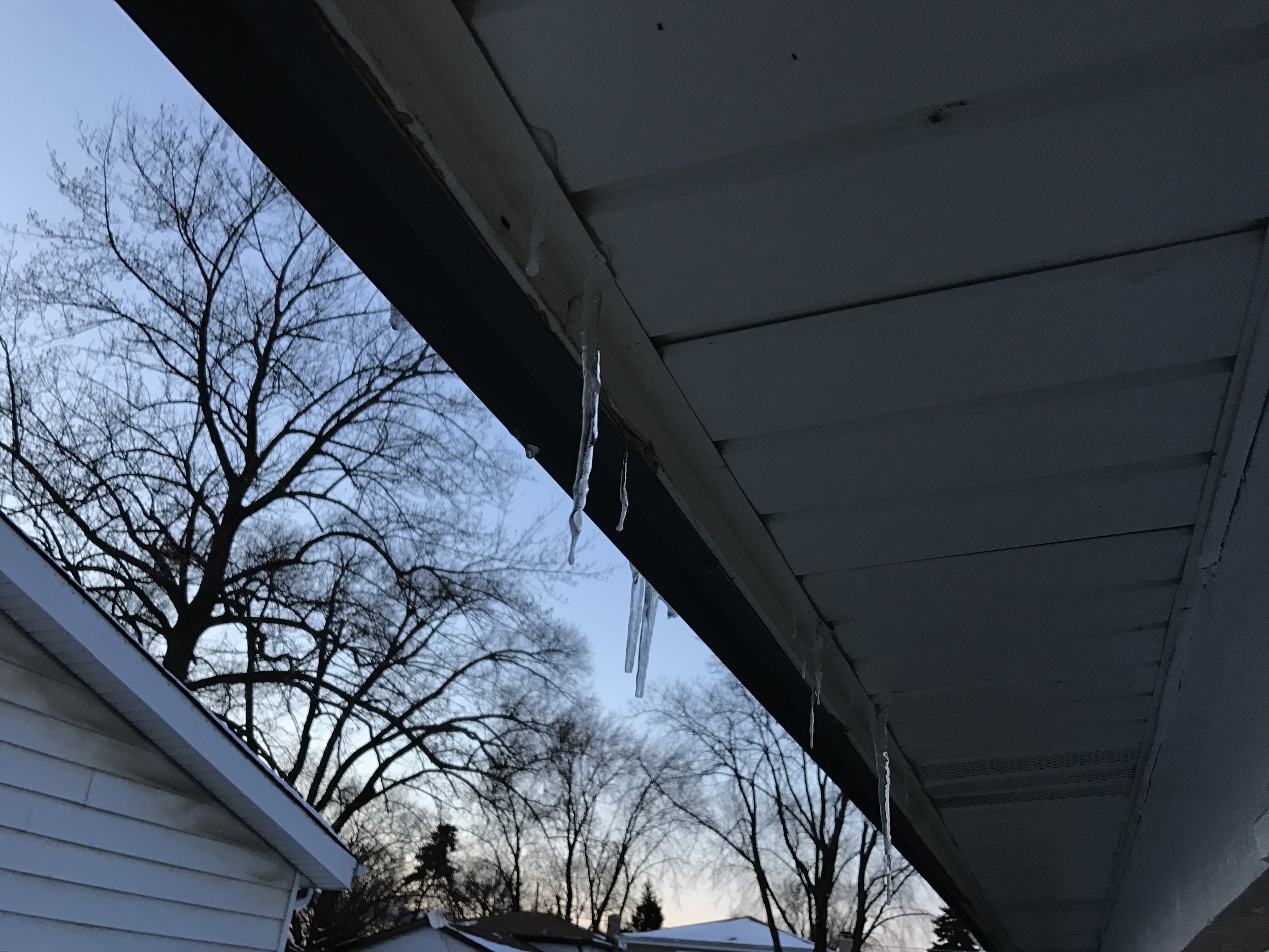 As can be seen in this example, ice damming has cause liquid water to make it's way through the fascia / soffit where it then froze. 