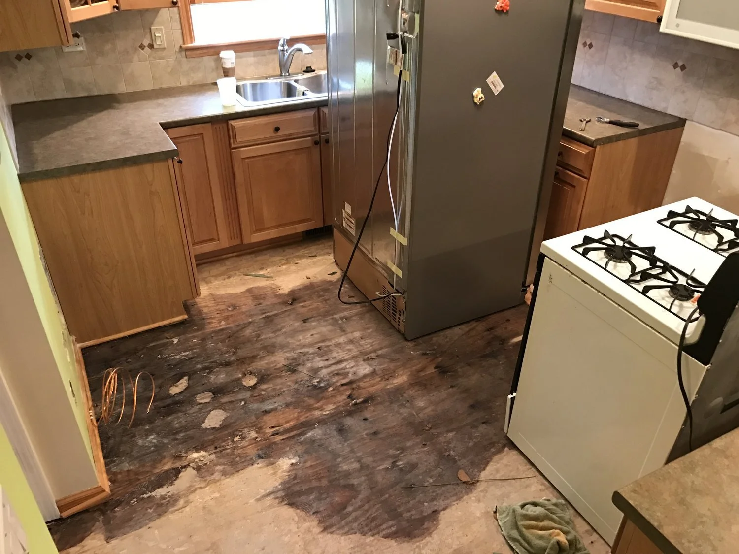 water damage subfloor.jpg