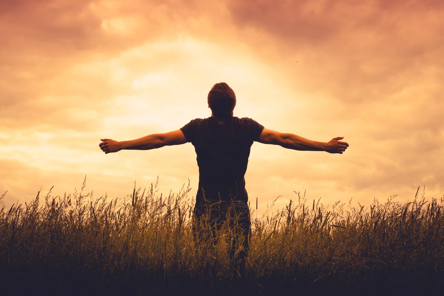 conquestbanner.jpg