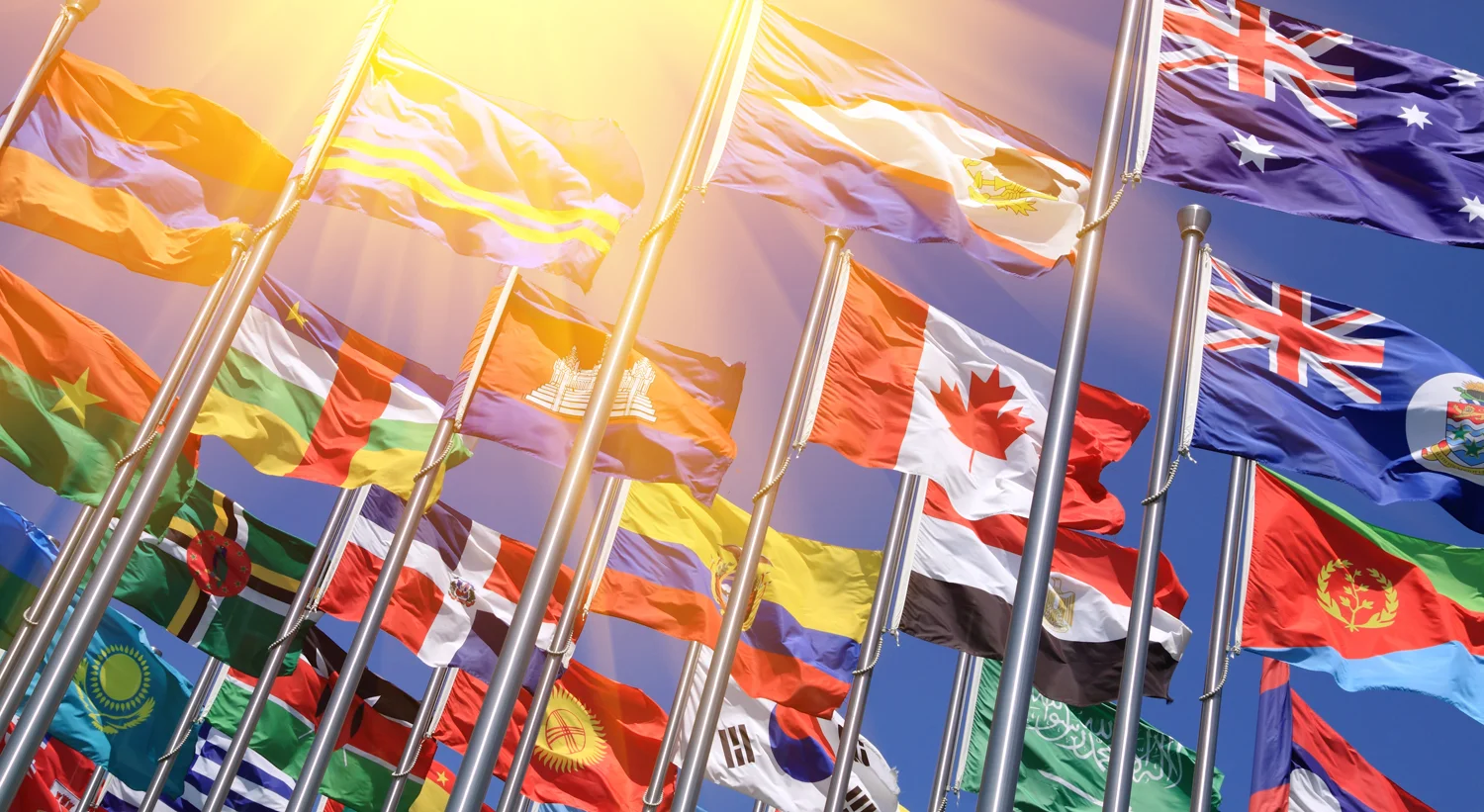 bannerbttnflags_edited-1.jpg