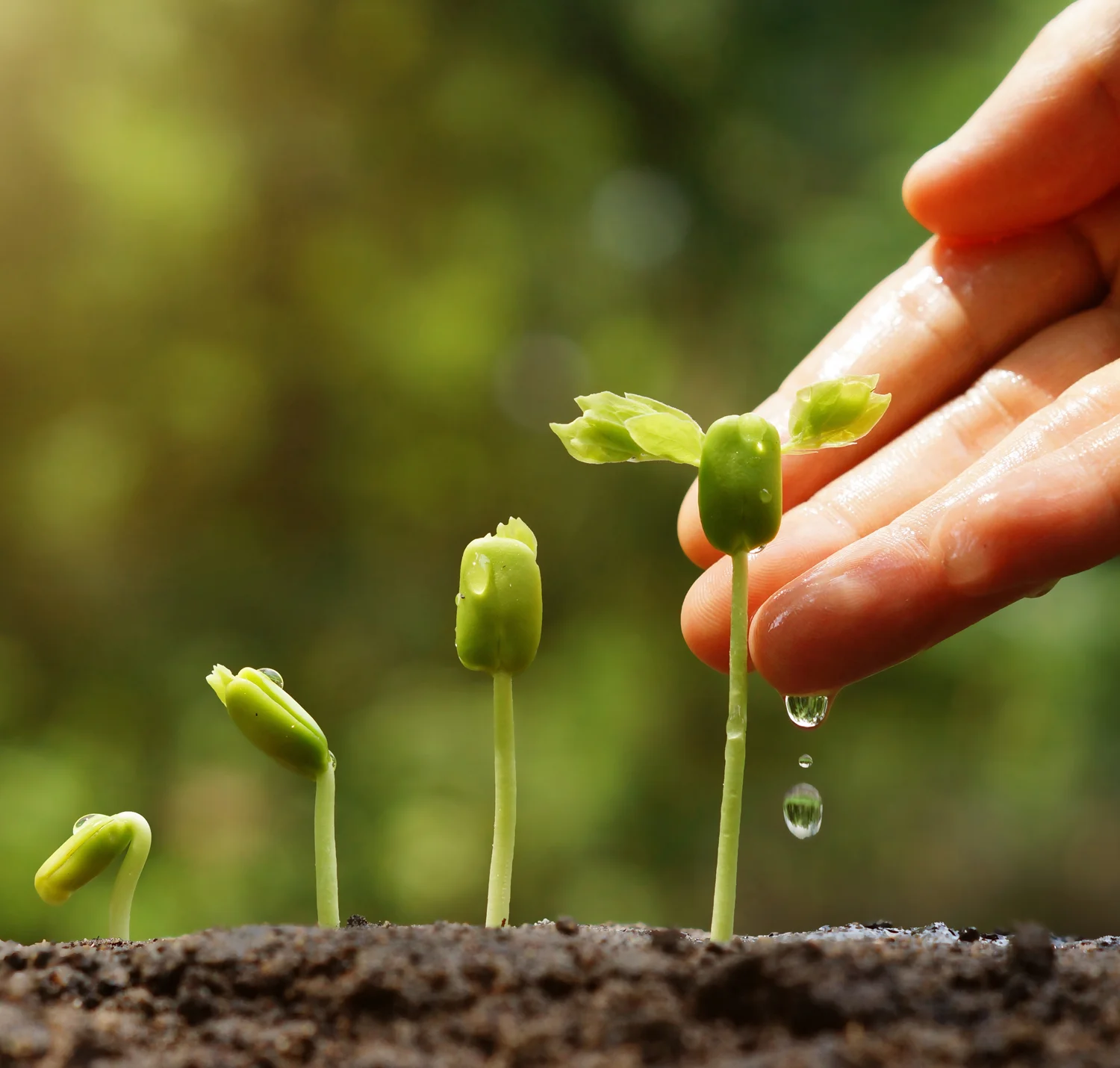 Between Salvation and Maturity
