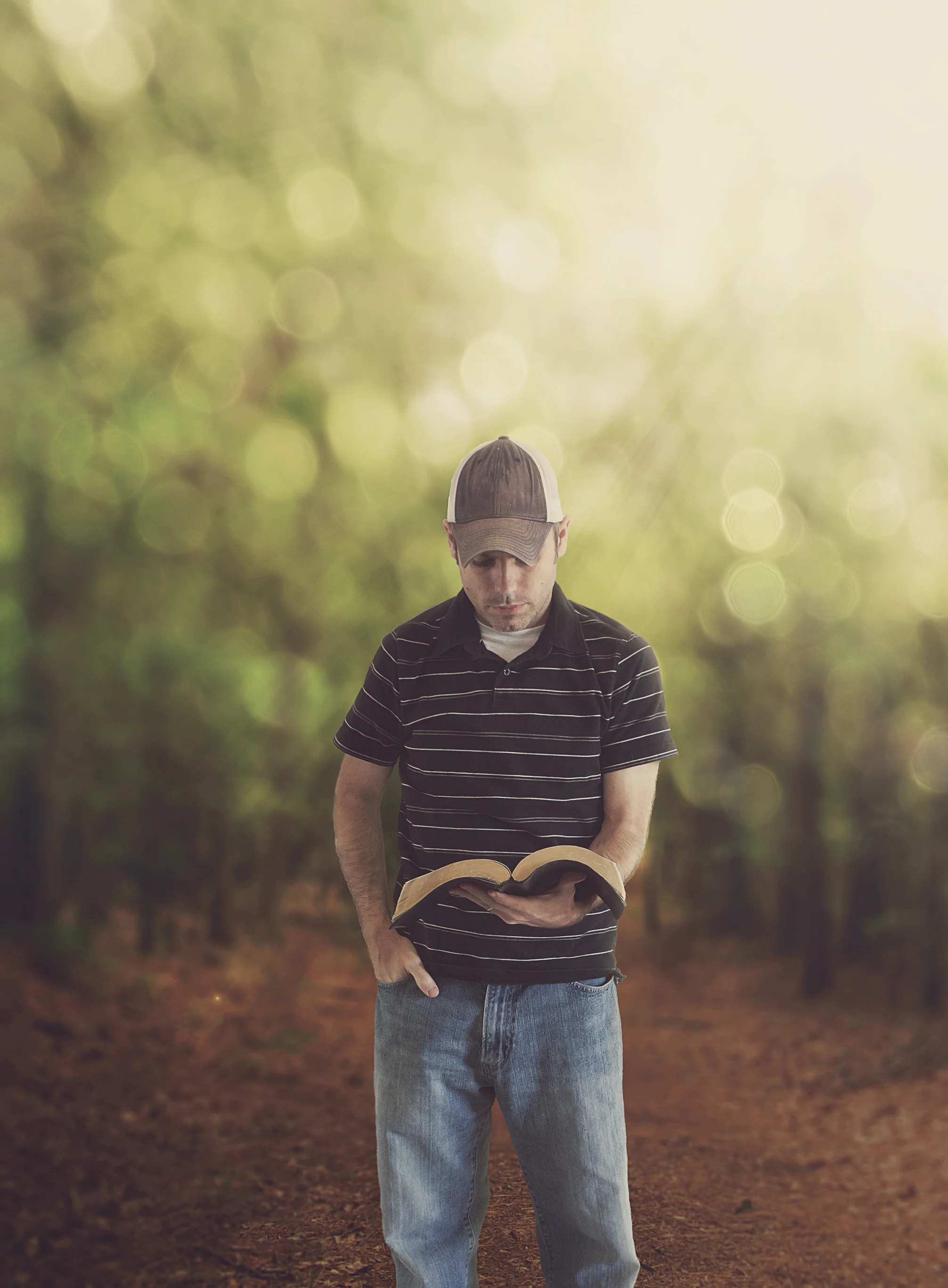 a-man-studies-his-bible-in-the-forest_r7dUzkfxC.jpg