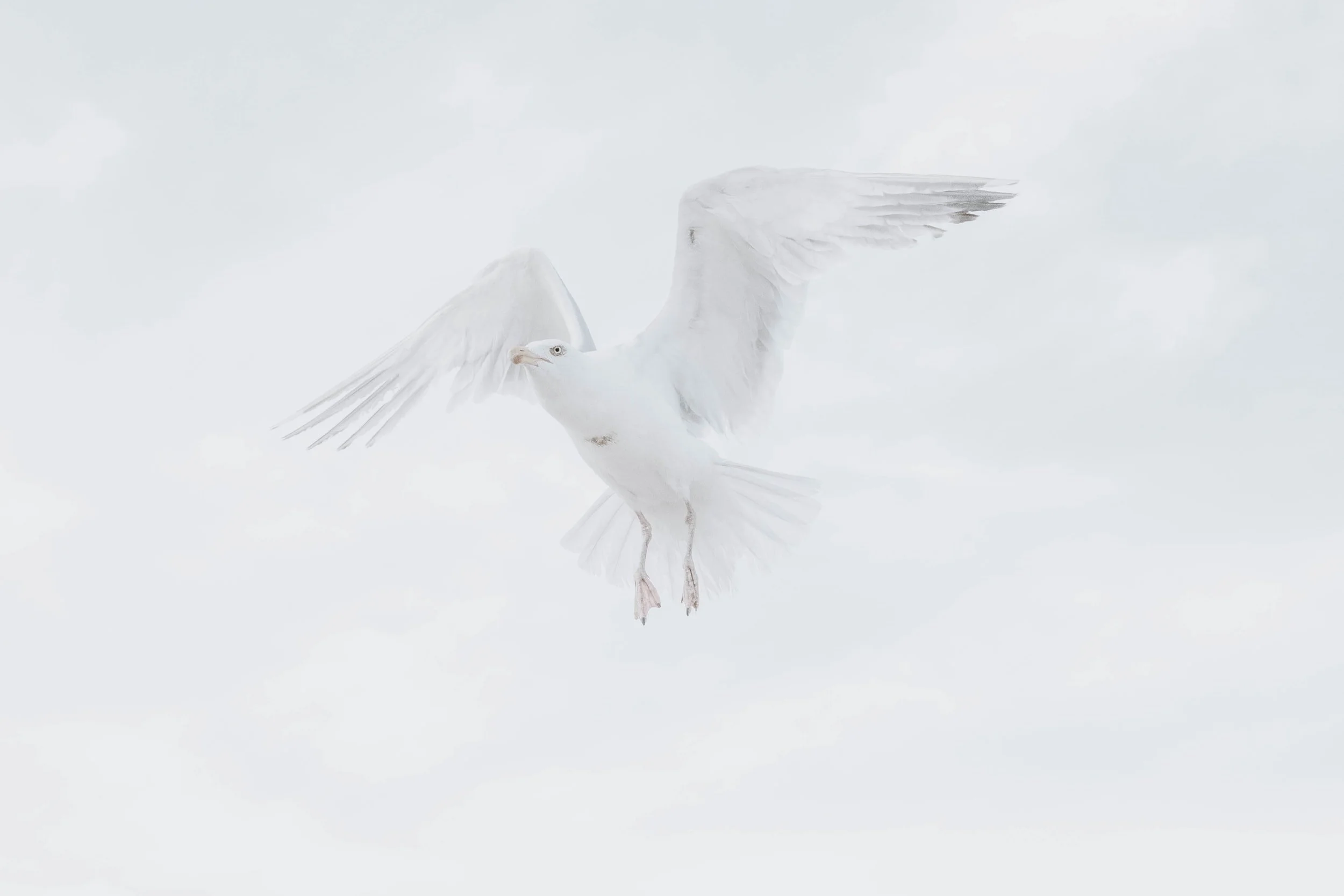 The Baptism In The Holy Spirit