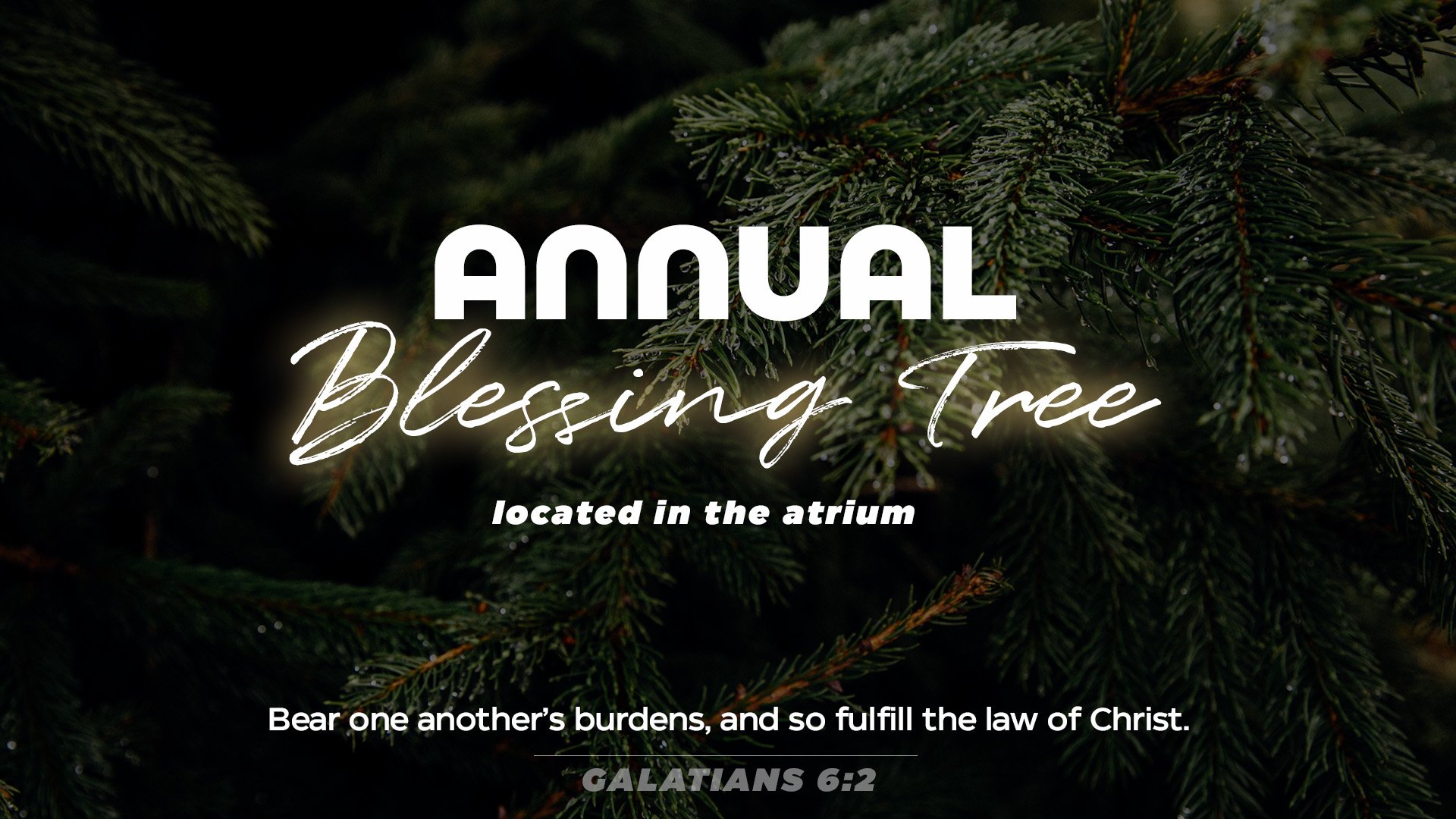 Blessing Tree 2021