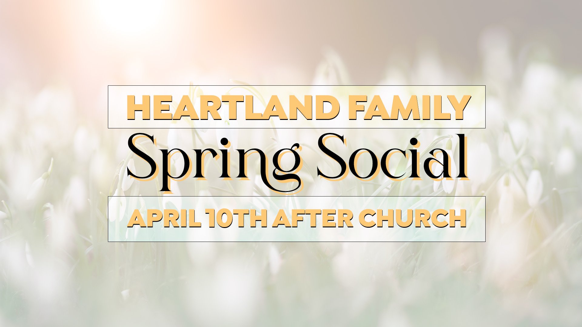 Heartland Family Spring Social