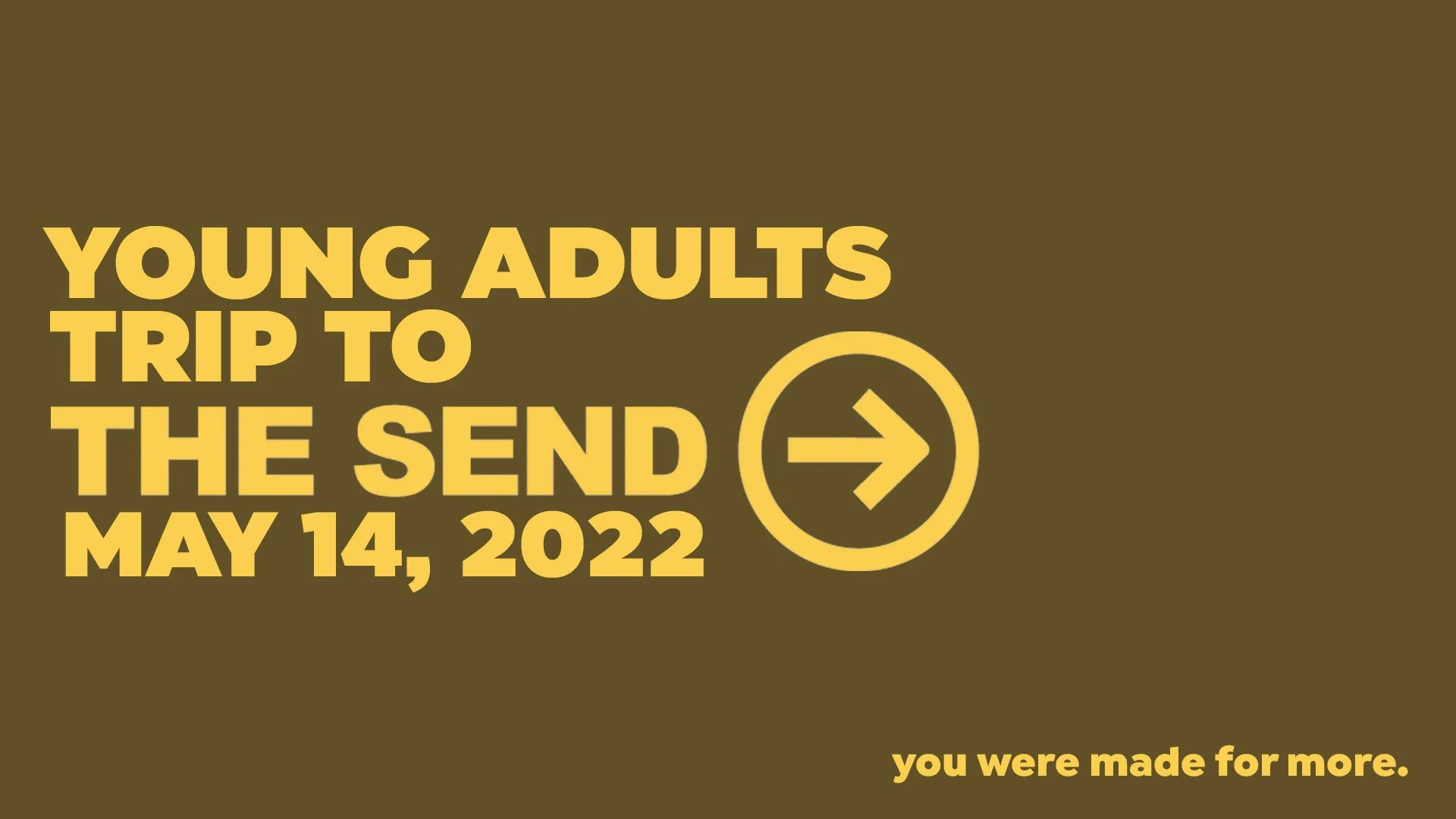 The Send for Young Adults (18-29)