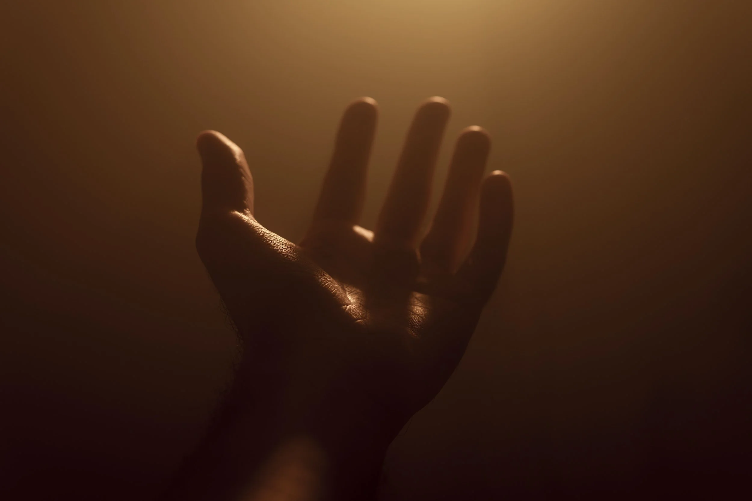 Gratitude - The Secret To Hope