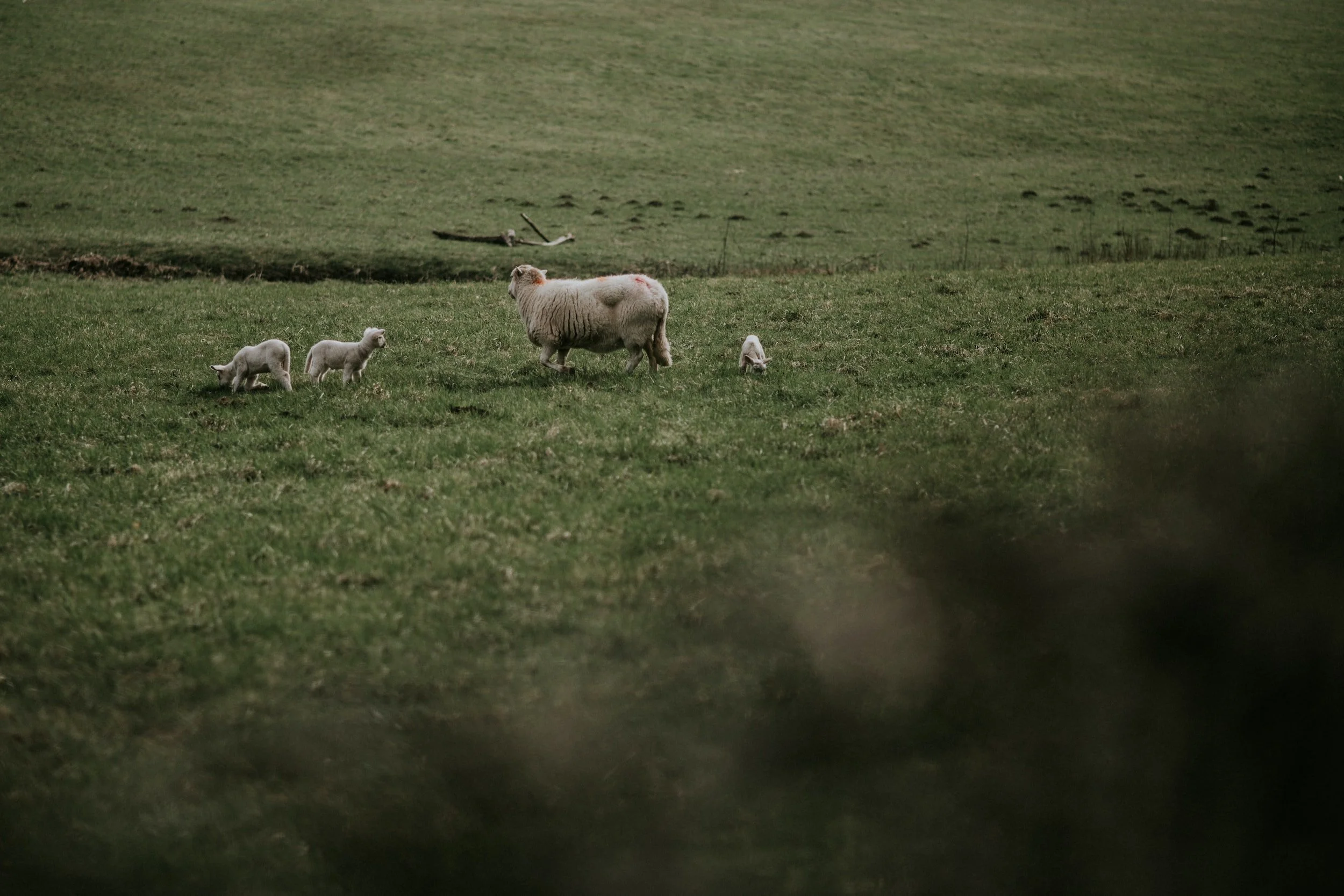 How Not To Miss God - The Shepherds' Sign