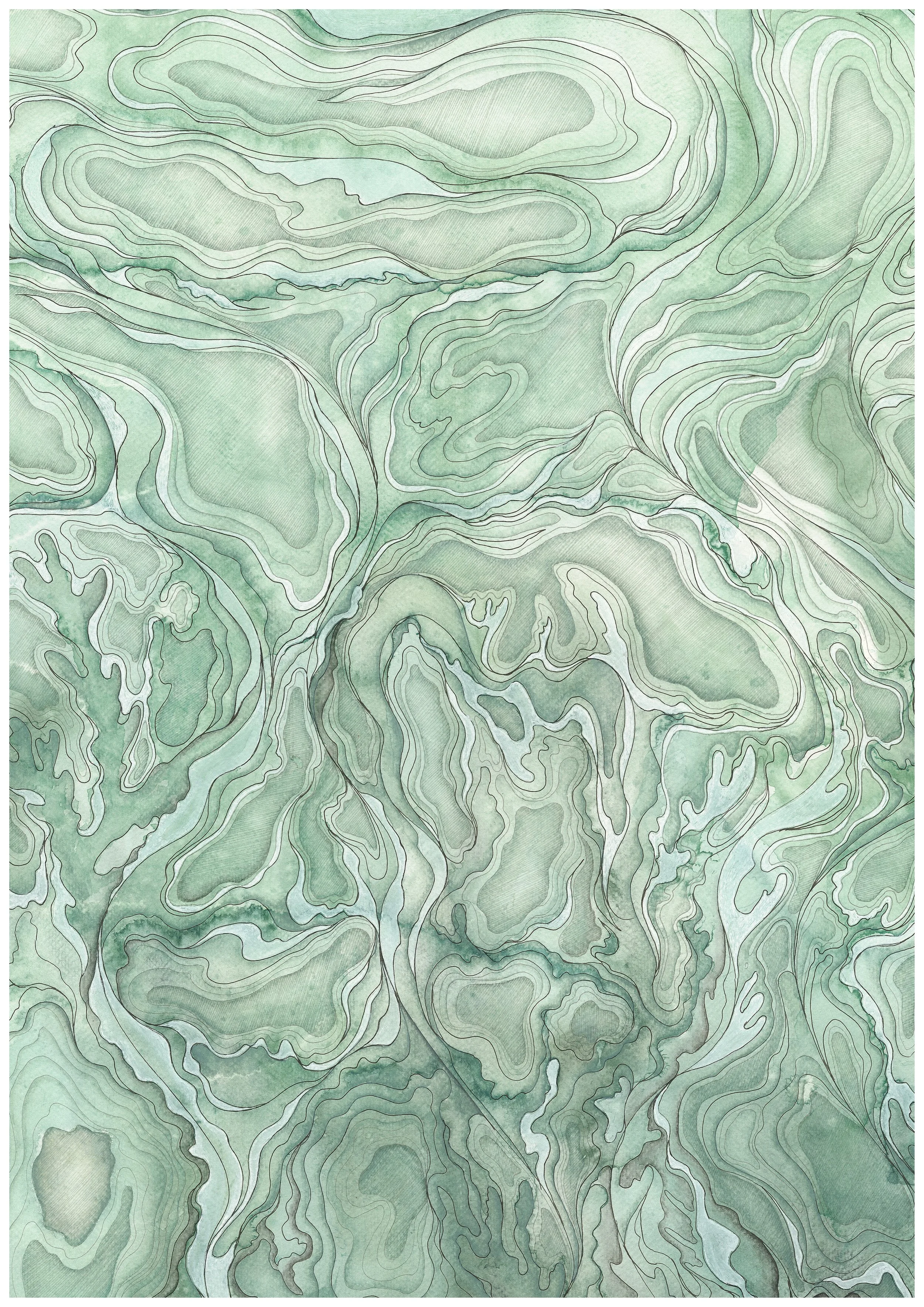 Intertidal Detail A3.jpg