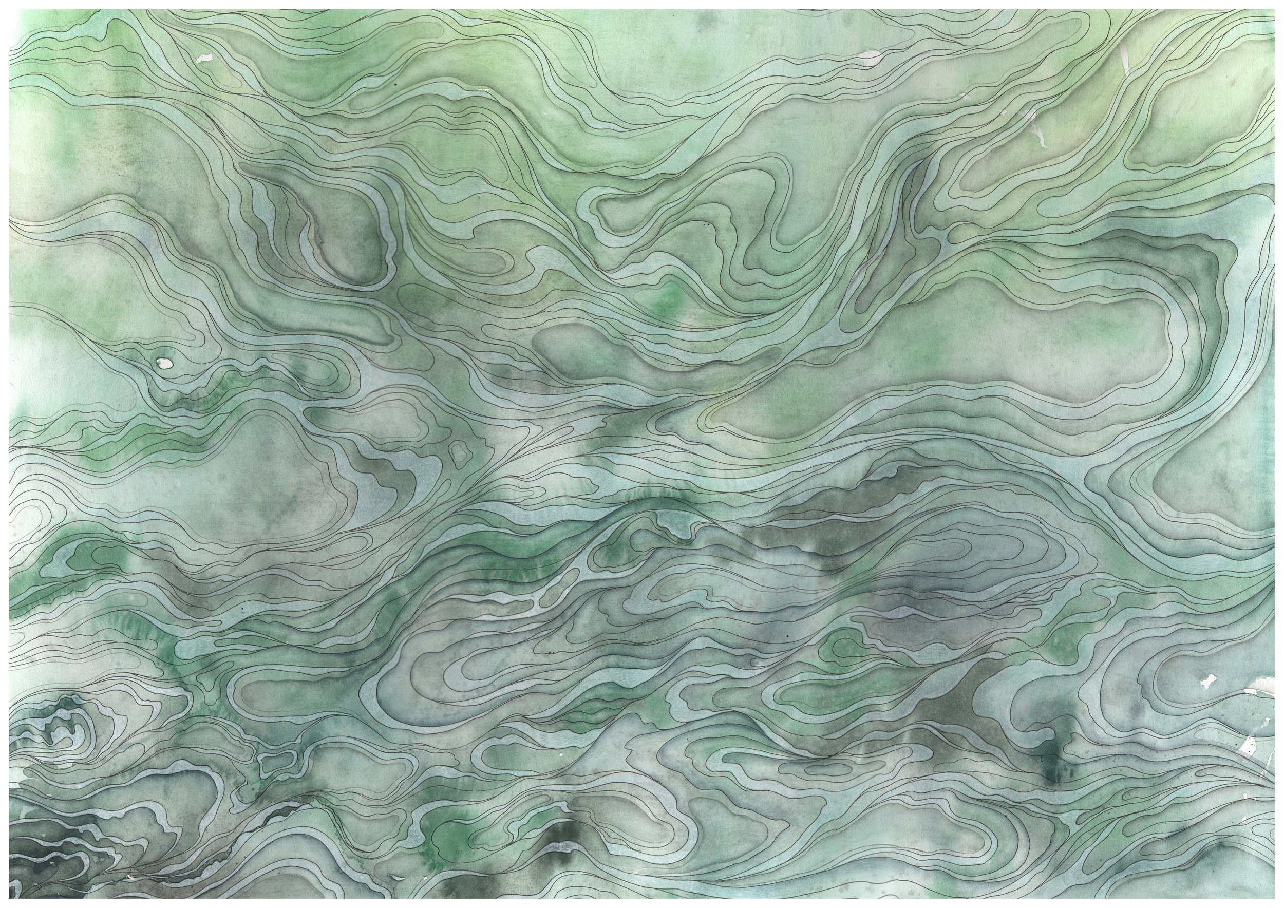 Light in the Shallows A3.jpg