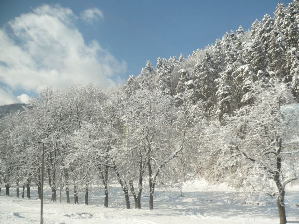 Predeal - Winter Landscape.jpg