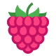 icons8-raspberry-80.png