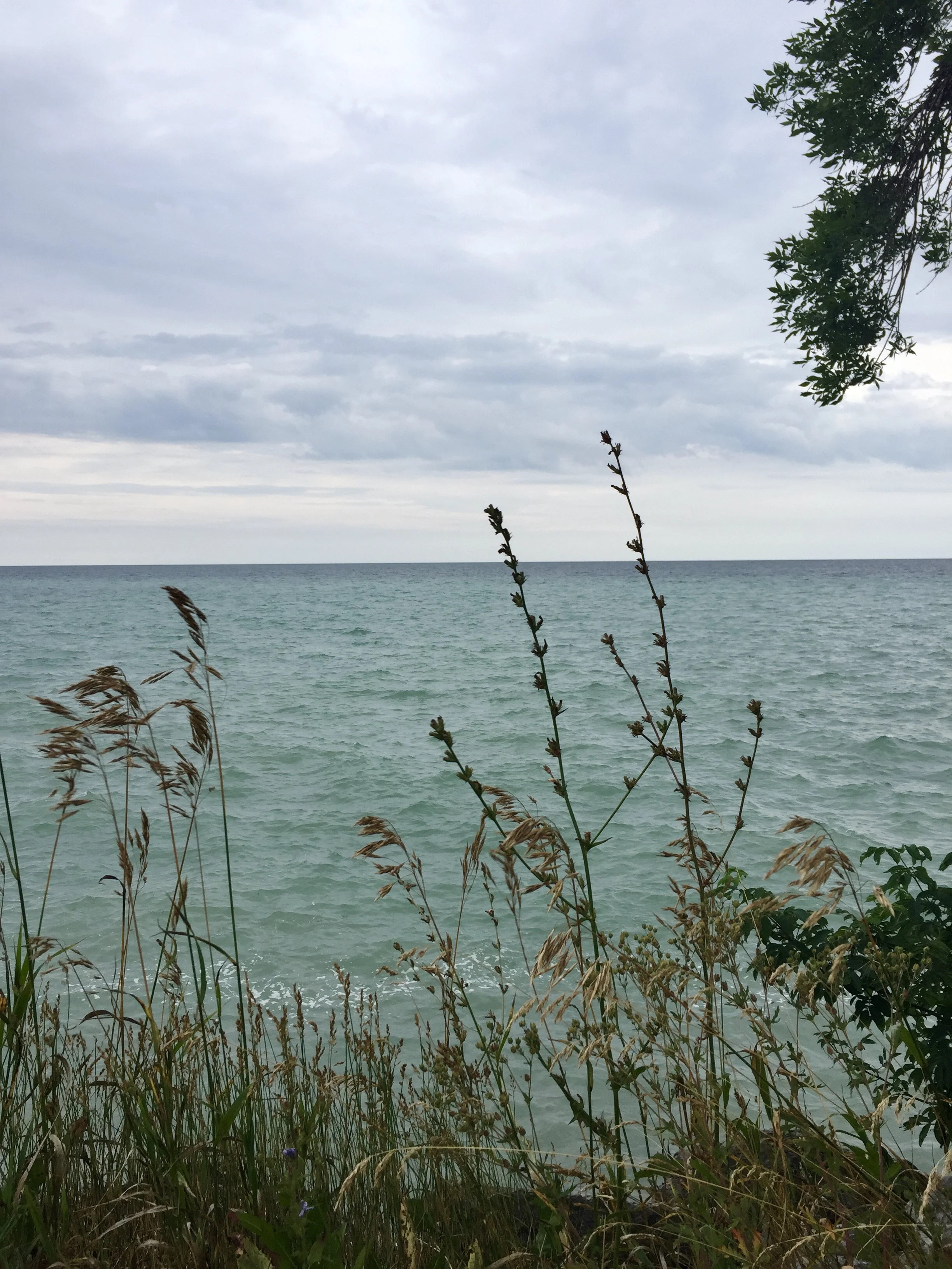 $100 per Session Sliding Scale