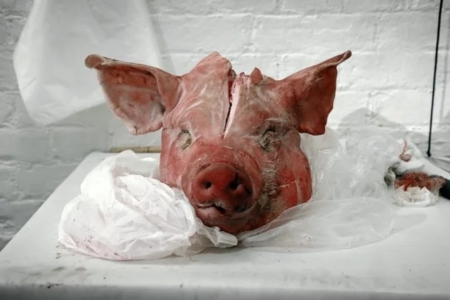 The Butchers Knife (2016) filmdir. Monica Gonzalessound design -recording - mix