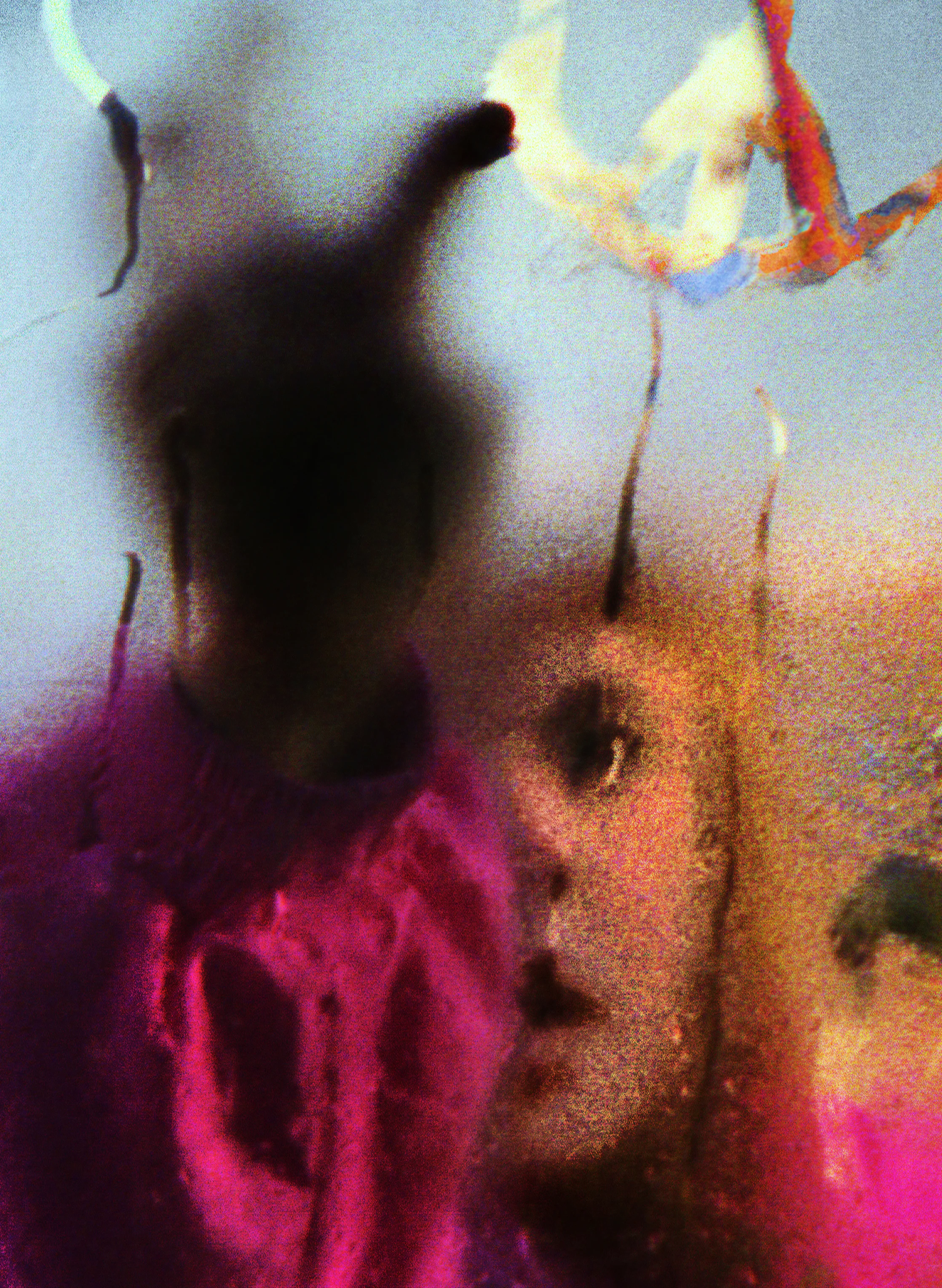 DETAIL@12% : Peace,Child. ©2019 BillKrumholz/SquirrelStock.com