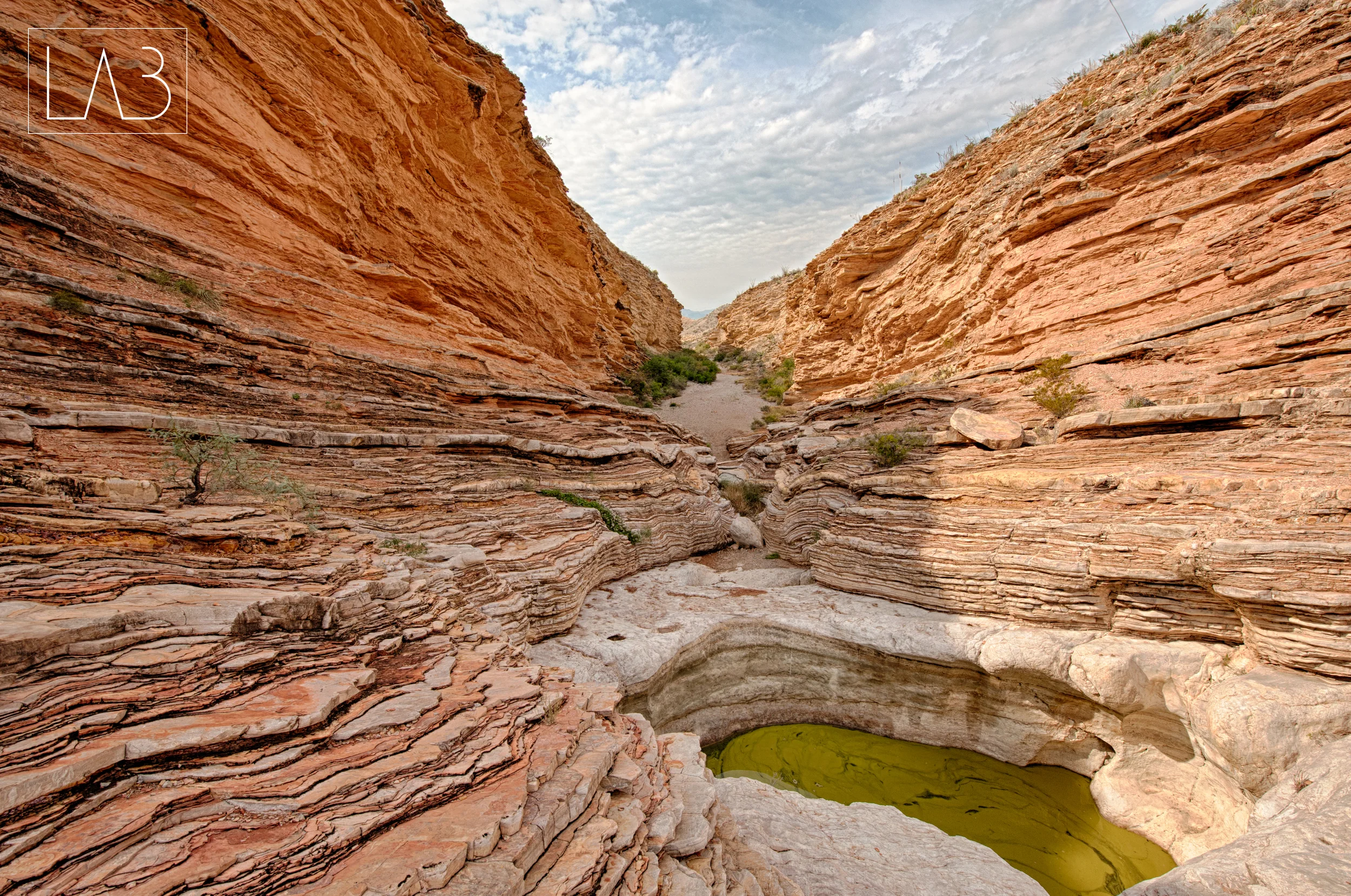 Big Bend_1.jpg