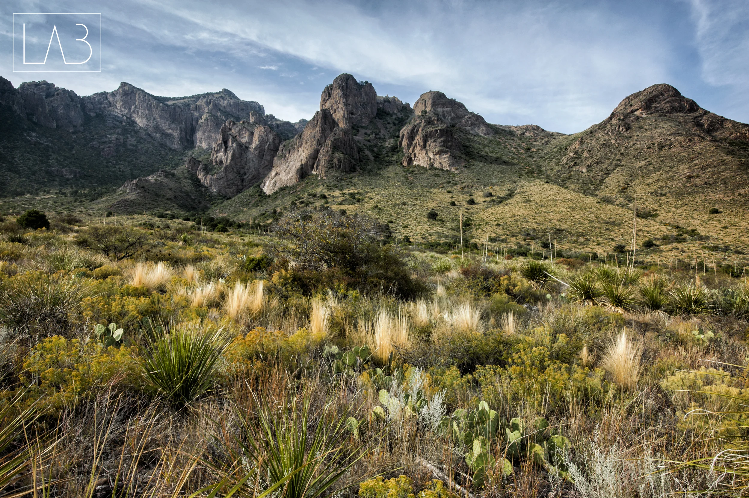 Big Bend_2.jpg