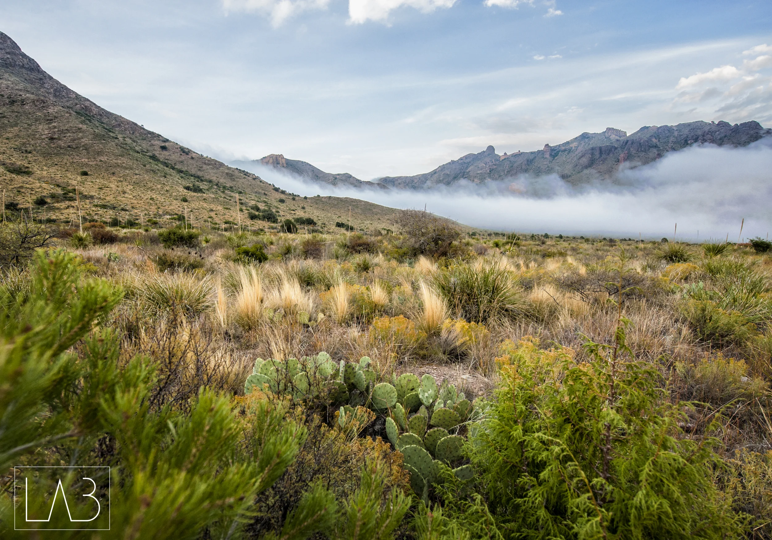 Big Bend_4.jpg