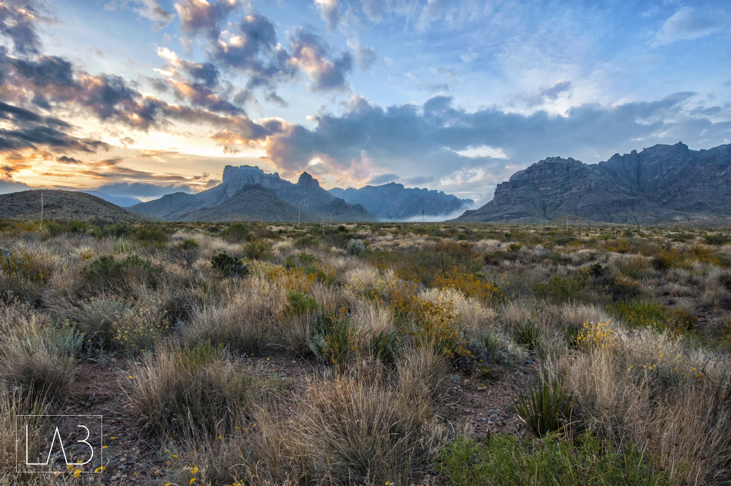 Big Bend_5.jpg