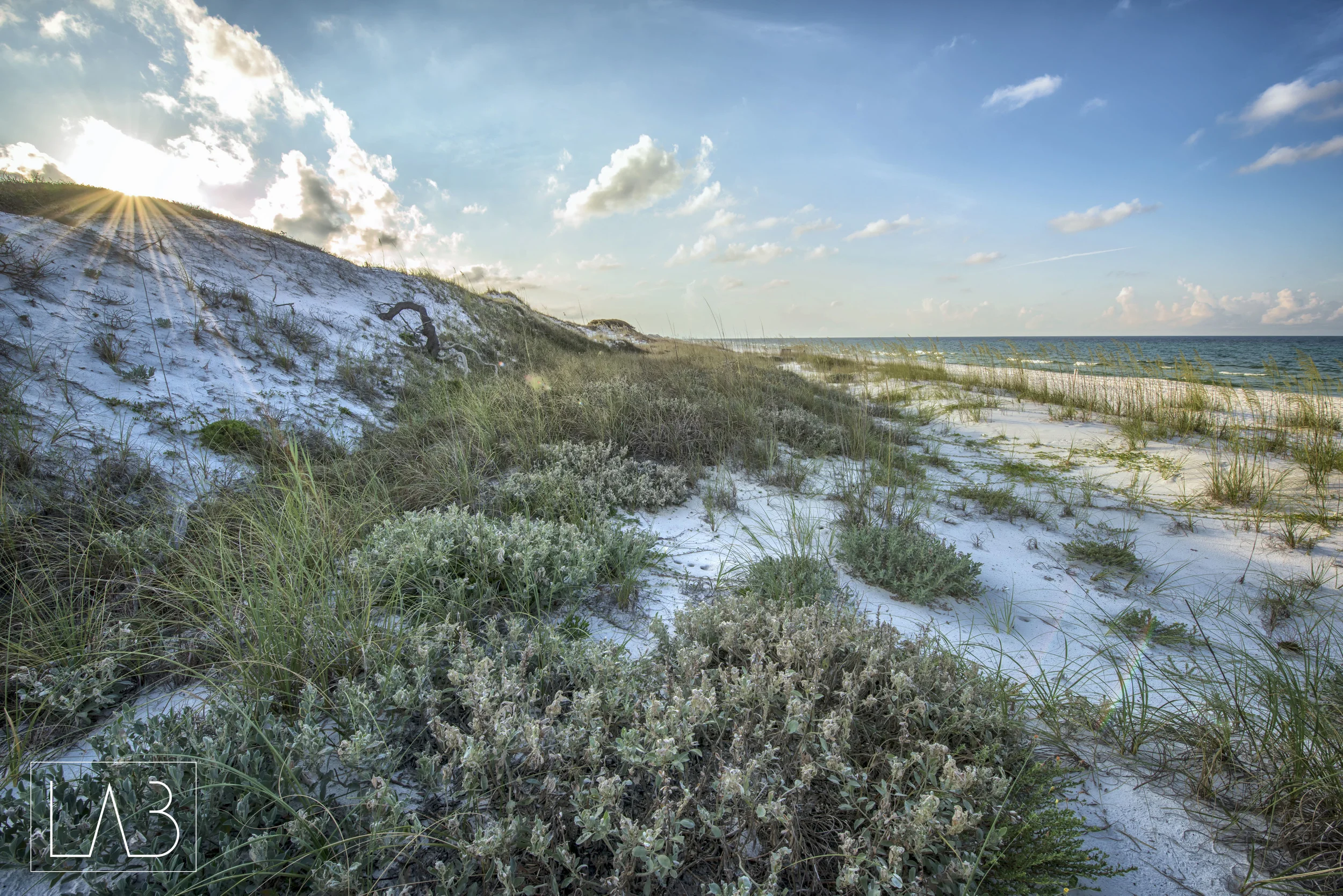 Gulf Coast_1.jpg