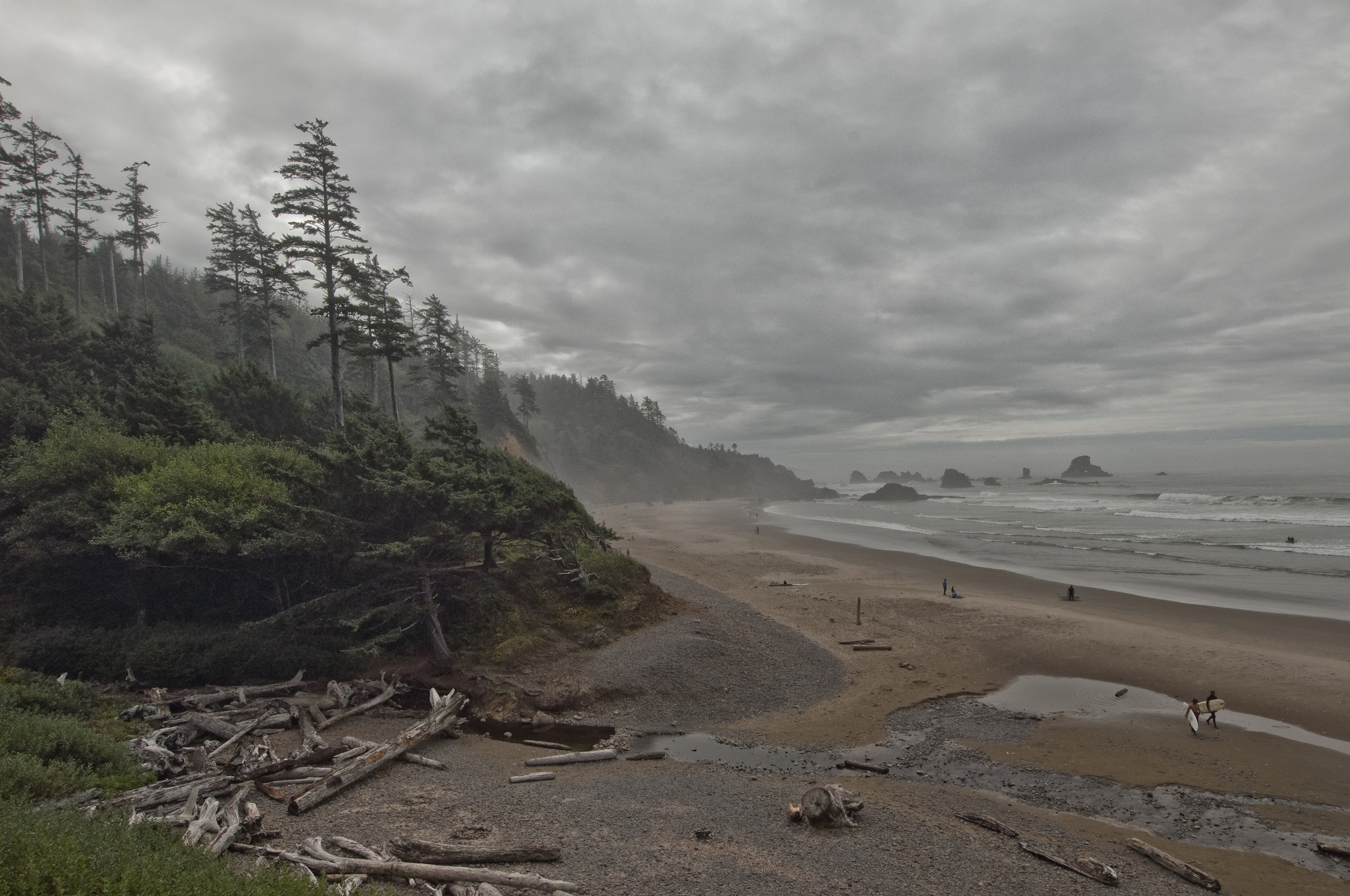DSC_0145.jpg