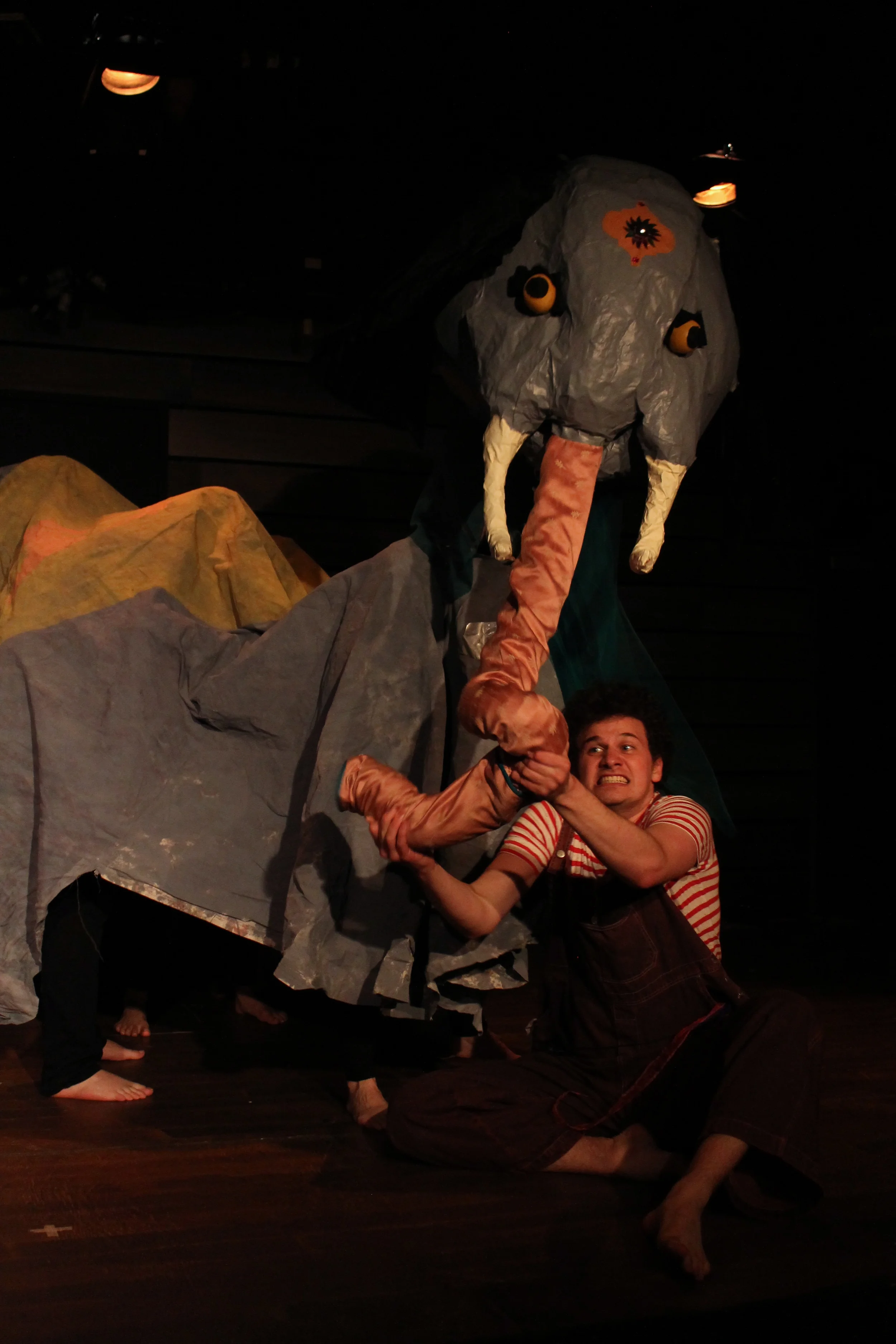 Jack Meets the Cat, directed by Sara Tilley for the Stephenville Theatre Festival, 2014. Featuring Erik Mrakovcic and elephant puppet designed by Tara Manuel, photo by Stephen Tracey. 