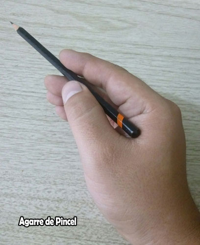 3.- The Paint Brush Grip Este agarre es muy similar al de un pincel. El lápiz se mantiene en una posición vertical y el borde posterior descansa sobre el pliegue entre el dedo índice y la base del pulgar. Este agarre es perfecto para crear marcas ligeras y delicadas, y también para cuando se hacen comparaciones visuales en la composición (copiando dibujos). Generalmente la punta del lápiz es lo que hace contacto en la superficie del dibujo.
