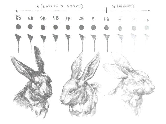 ✏ ¿Qué lápices se usan para dibujar retratos? ¡Tú eliges! ✏ ¿Qué lápices se usan para dibujar retratos? ¡Tú eliges!