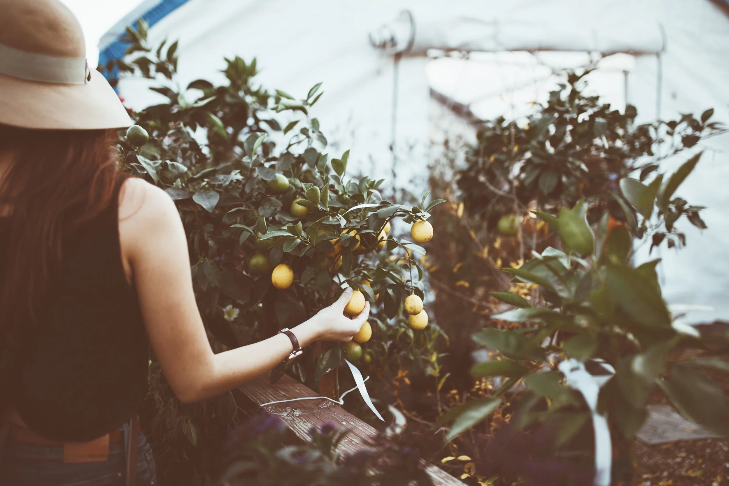 How to Create a Girlboss Support Group