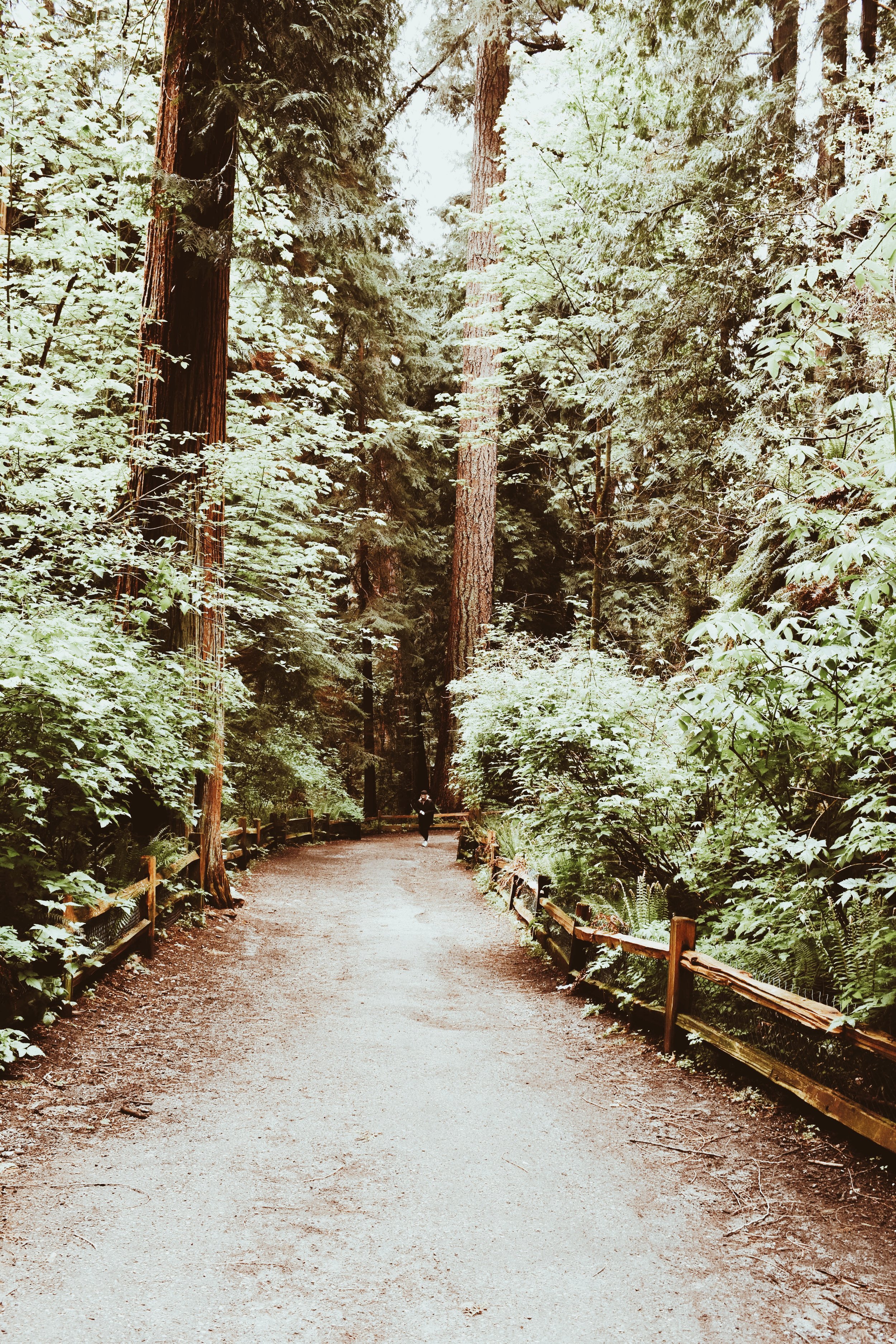 National Parks Bucket List