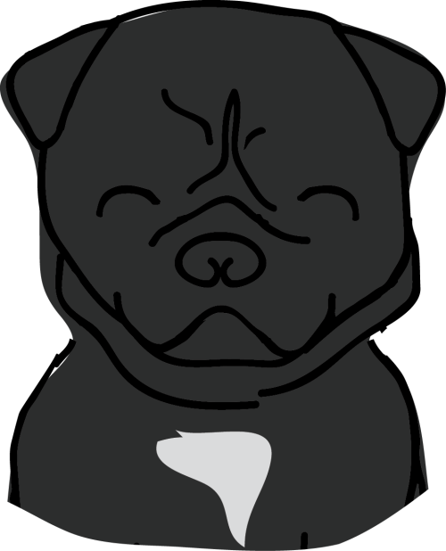 frankie small.png