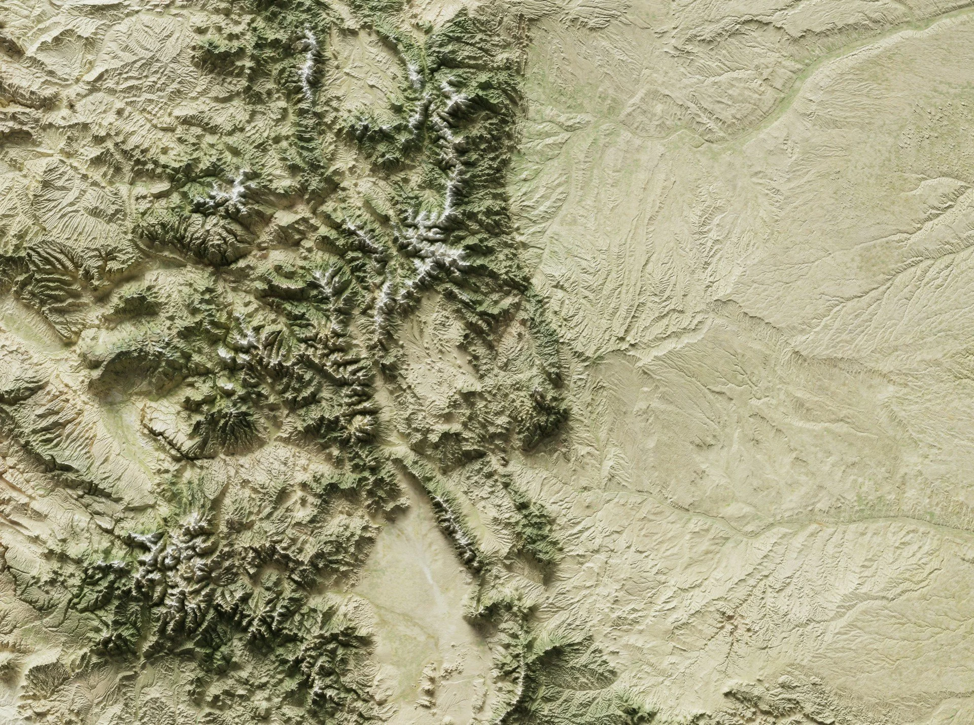 How to Prevent Mold Growth in Basements