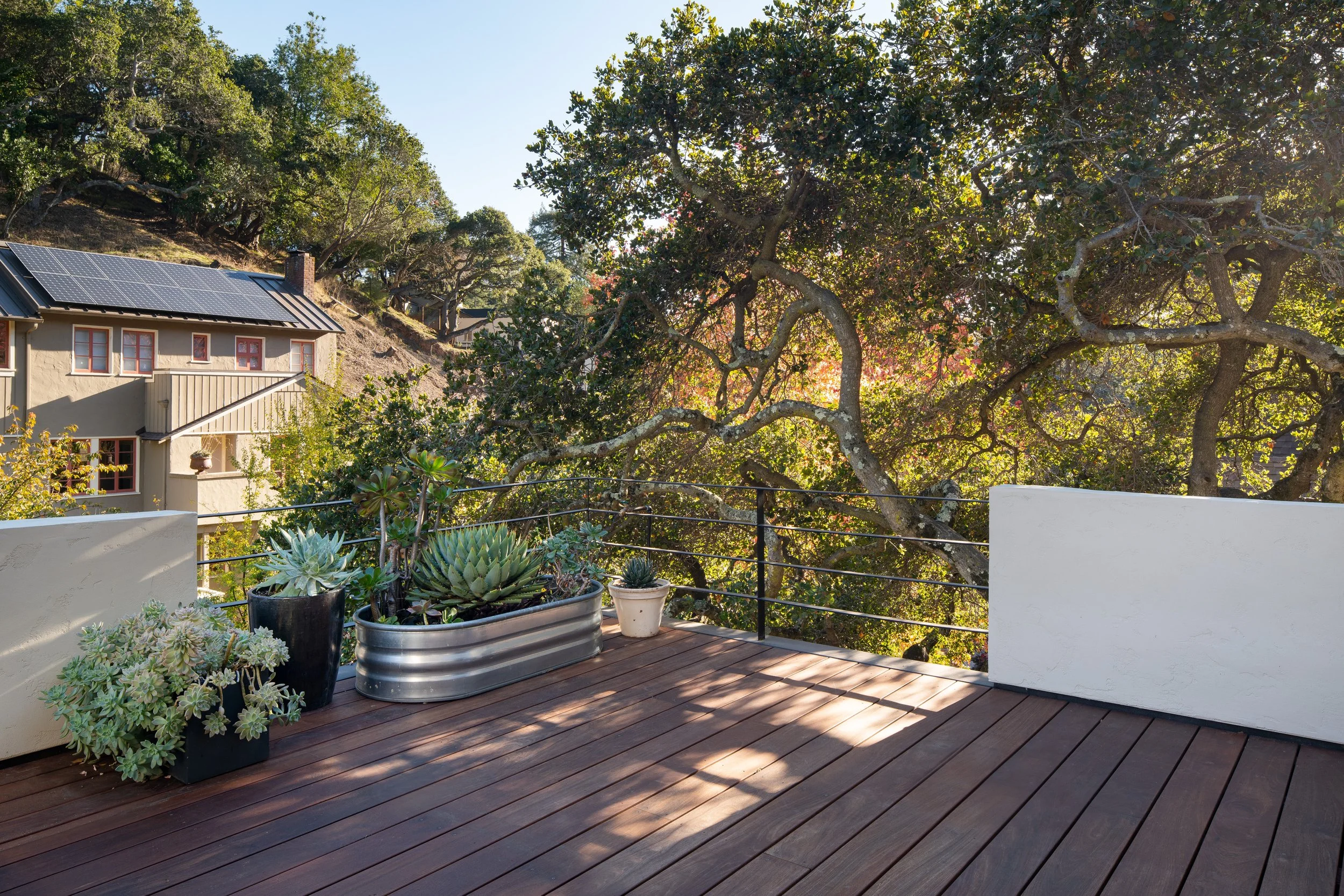 Trestle Glen Transitional Eisenmann Architecture