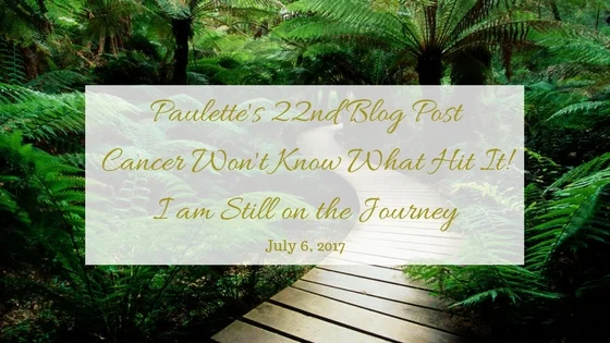 Paulette's 22nd Blog Post | Cancer Won't Know What Hit It! I Am Still on the Journey