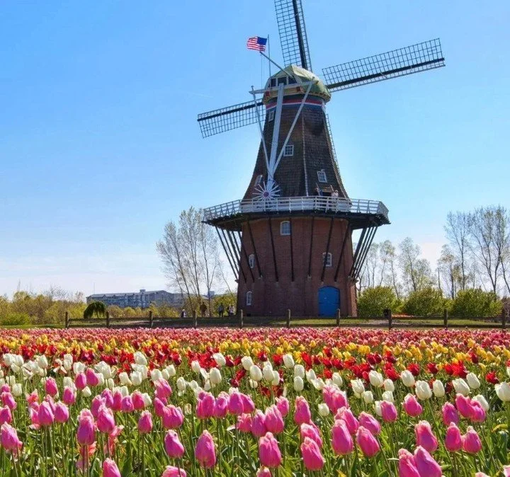 🌷 &ldquo;I&rsquo;m in Holland: Embracing the Unexpected in Therapy and in Life&rdquo; 🌷 
By Dr. Courtney Stivers, PhD, LMFT

Life doesn&rsquo;t always go as planned&mdash;and that&rsquo;s okay. Inspired by the powerful metaphor of &ldquo;Welcome to