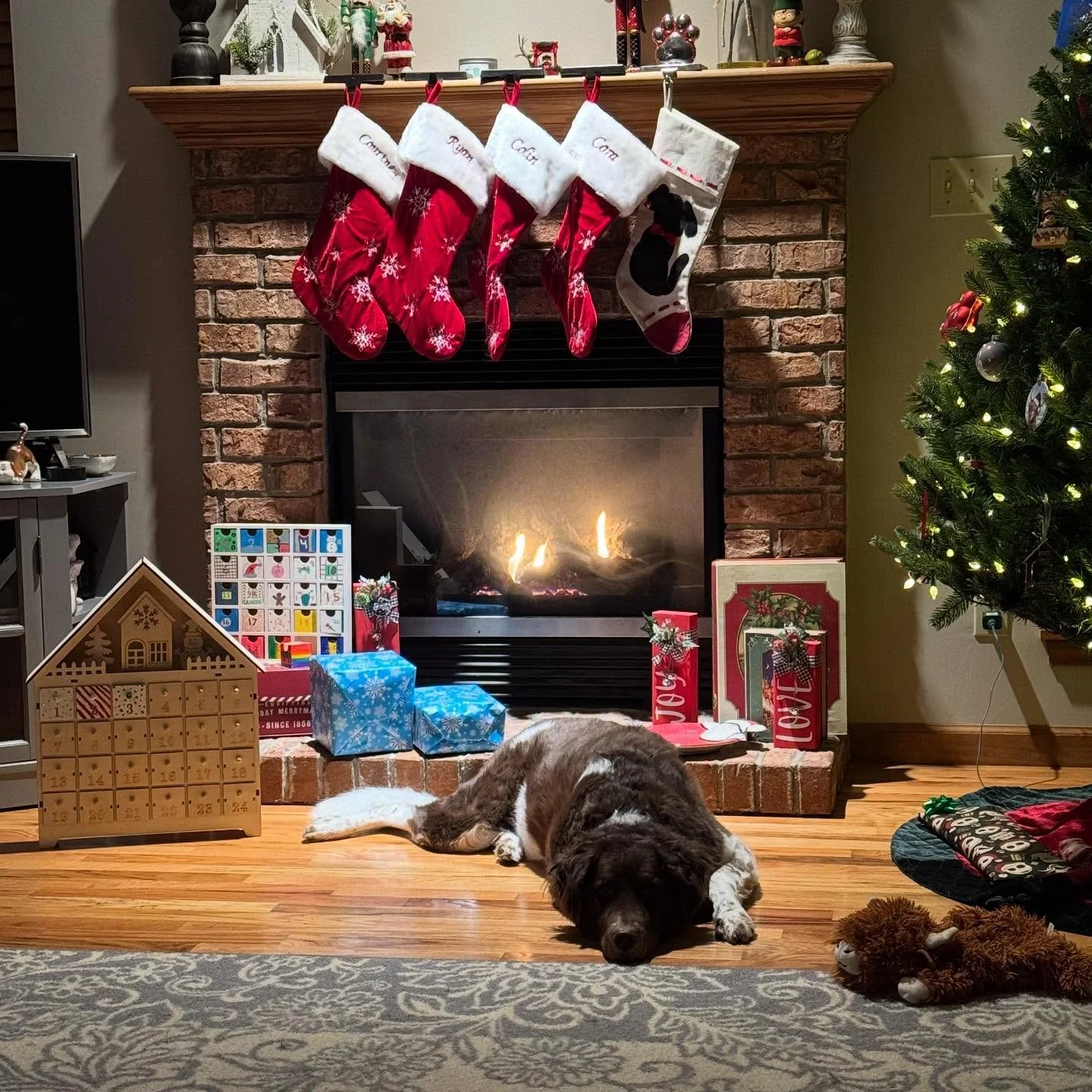 Wishing you joy, peace, and love this holiday season. May your day be filled with warmth, laughter, and cherished moments with chosen family and friends. 🌟🎁

#MerryChristmas #HolidayJoy #Peace #Blessed #Grateful