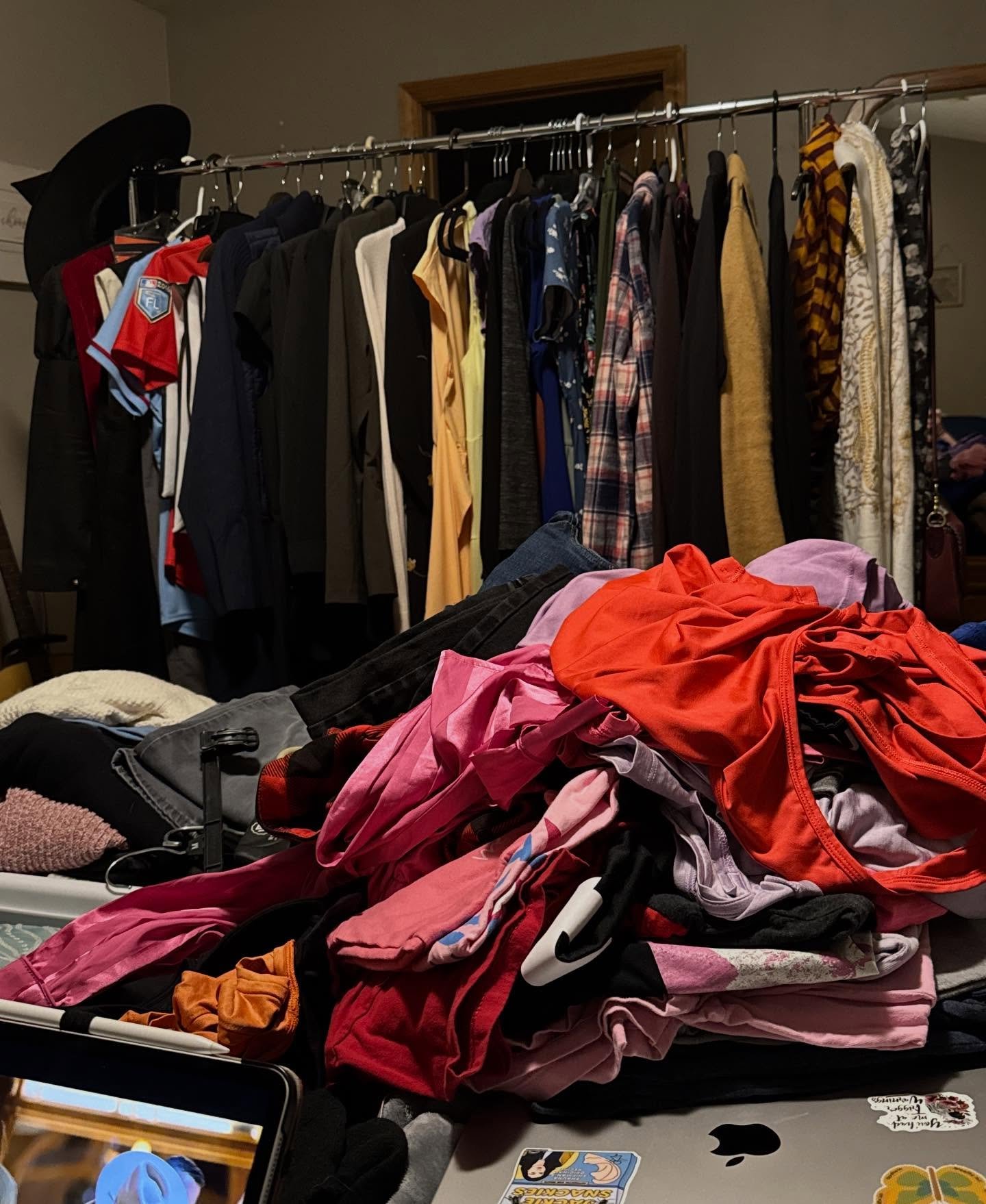 Started reorganizing my closet today like a responsible adult&hellip;

✨ Wood, plastic, and velvet hangers arranged by clothing type? Check.
✨ Folded jeans like a Pinterest board? Check.
✨ Ran out of dopamine halfway through? DOUBLE CHECK. 

Now it l