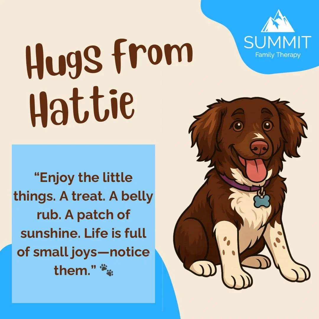 🐾 A Little Joy from Hattie the Therapy Dog 🐾

Hi again, it&rsquo;s me&mdash;Hattie! 🐶🌸

Wanna know one of my favorite things?
Small joy. Like a crunchy leaf, a warm patch of sun, or that perfect stick. 🐾☀️🍂

Life doesn&rsquo;t always have to be