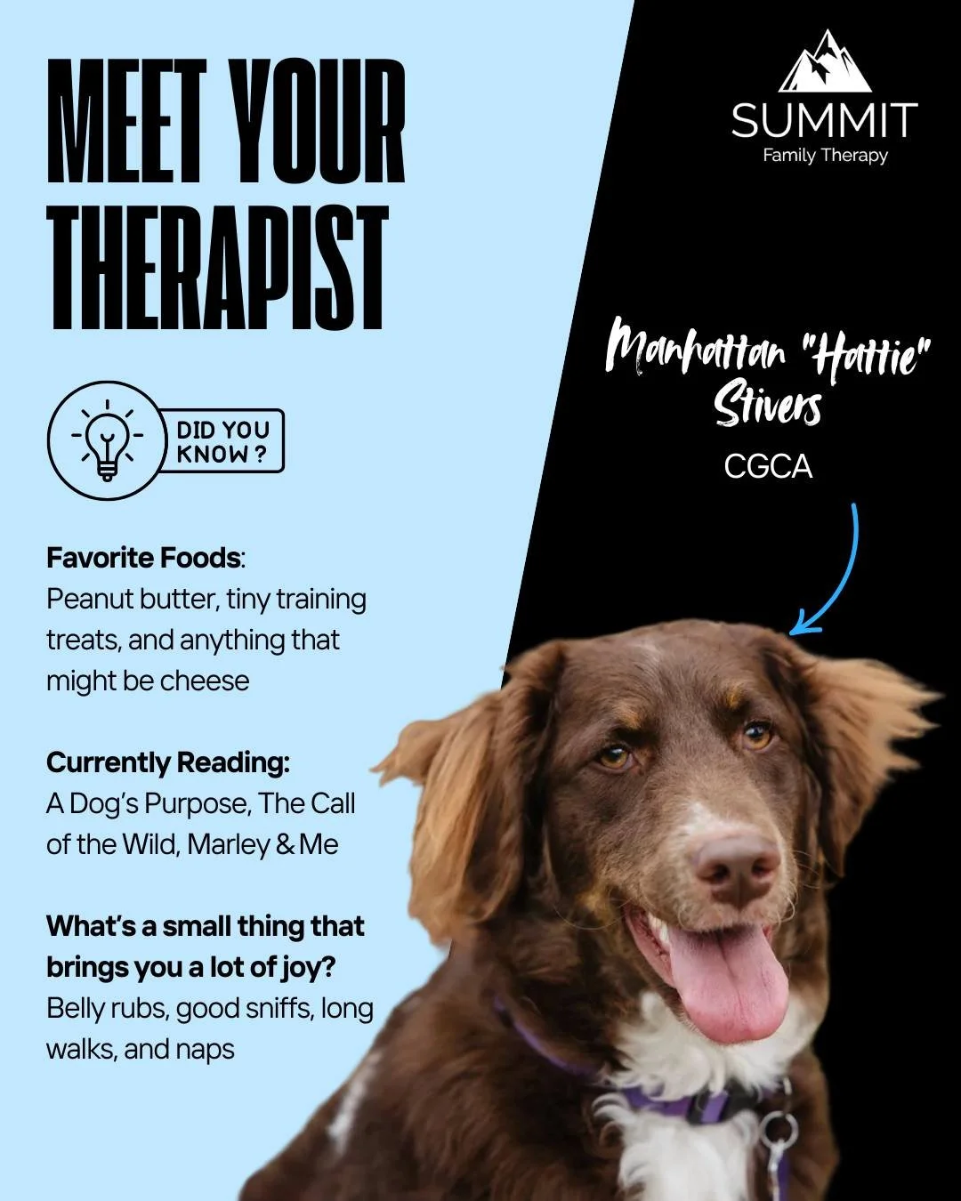 💙 Therapist Feature: Meet Hattie 🐶
Hattie is our certified therapy dog and an important part of the Summit Family Therapy team. She offers calm presence, grounding support, and lots of quiet comfort.

🐾 Loves peanut butter + tiny treats
📚 Current