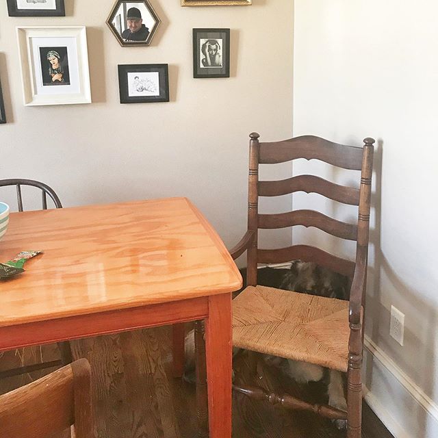 Can you spot the guilty, trashcan-robbing dog in her hiding spot?