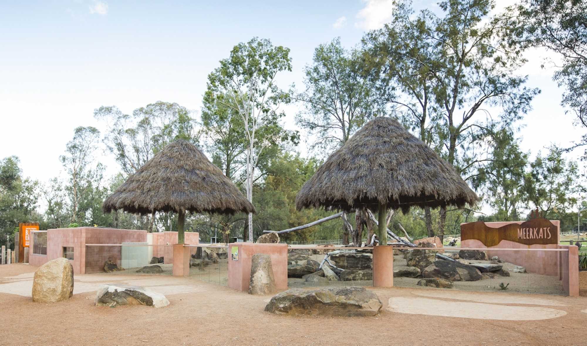  Meerkat Enclosure