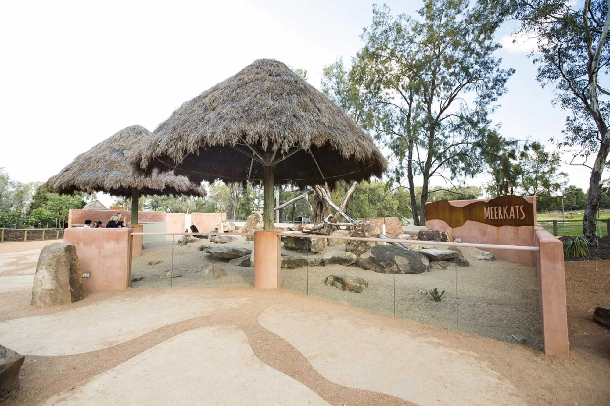Meerkat Enclosure