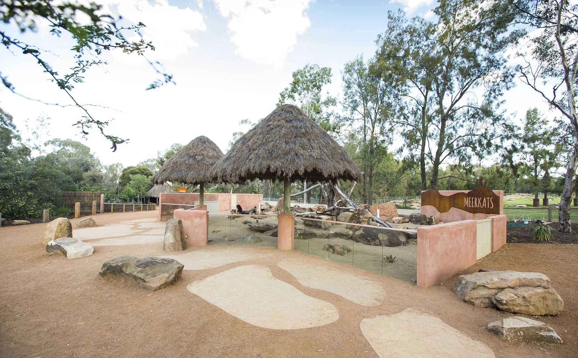 Meerkat Enclosure