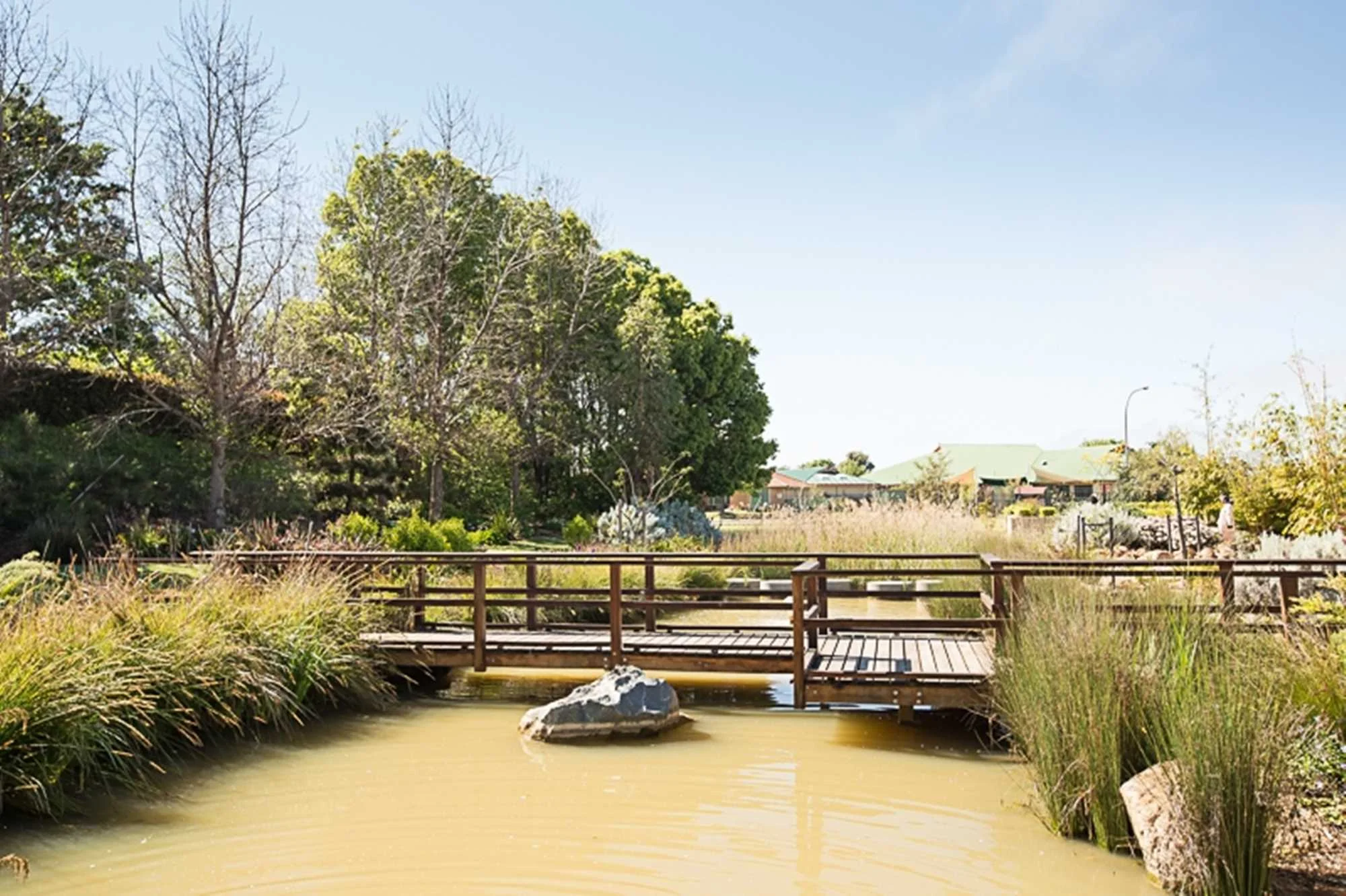 Sensory Garden