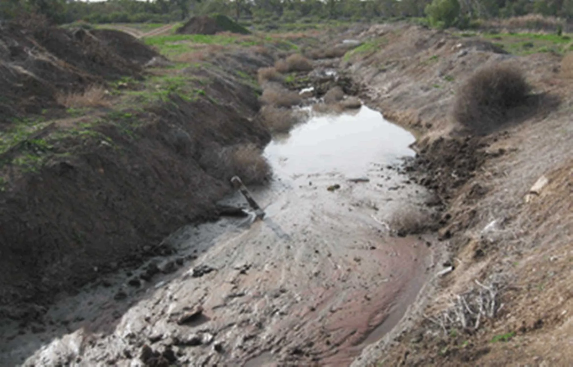 Environmental Consulting 7
