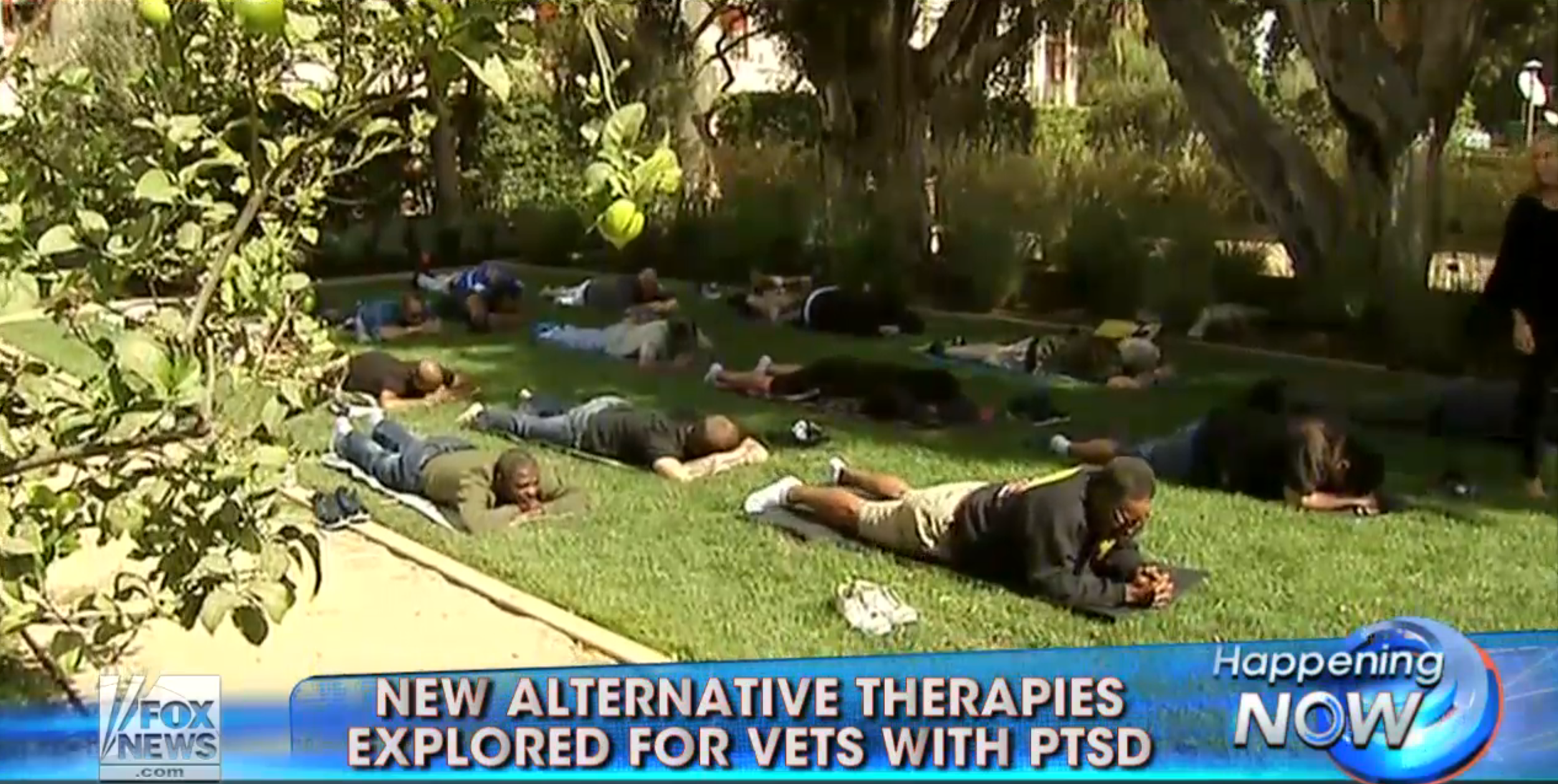 Alternative therapy explored for vets with PTSD